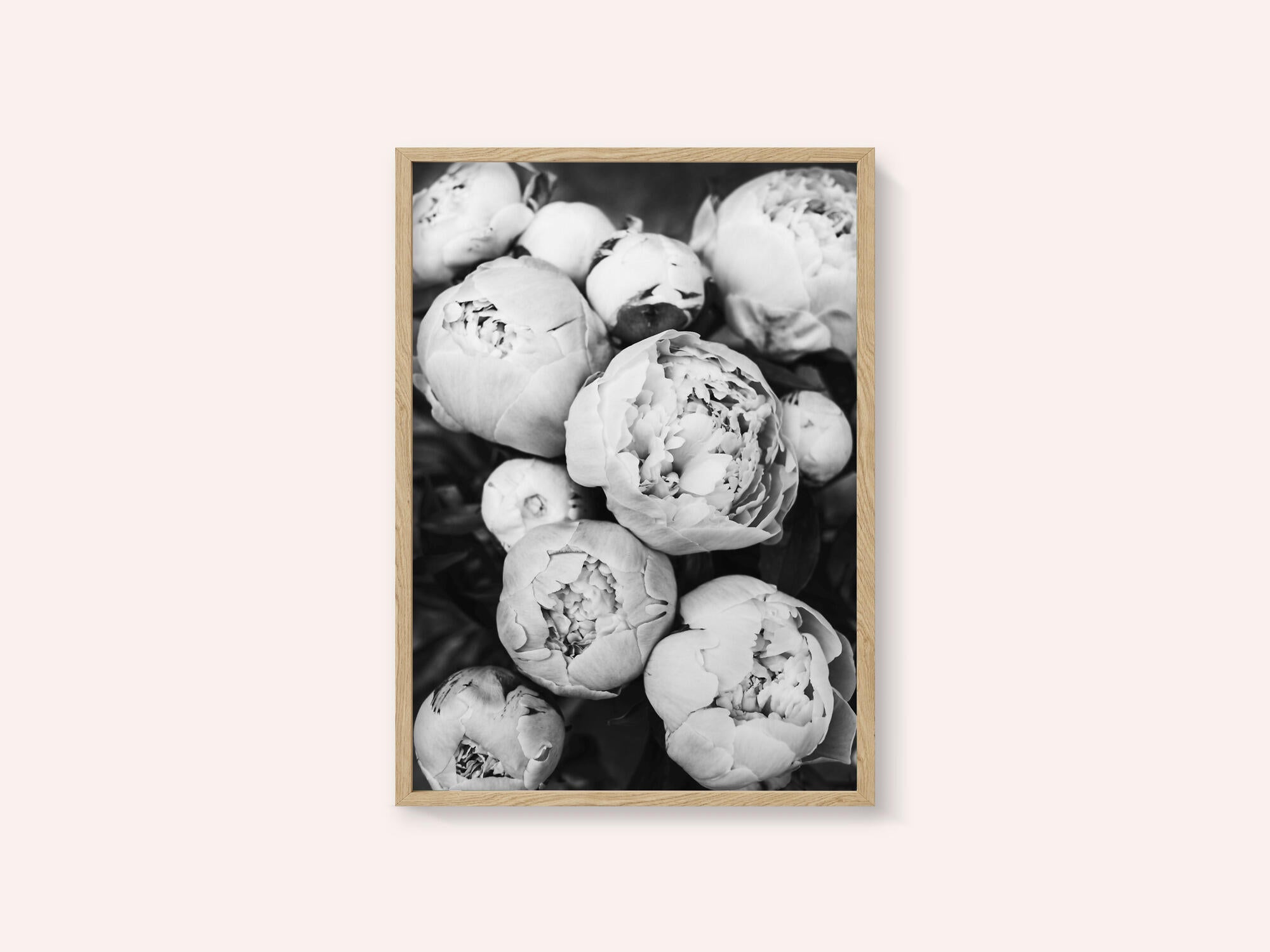 Peonies