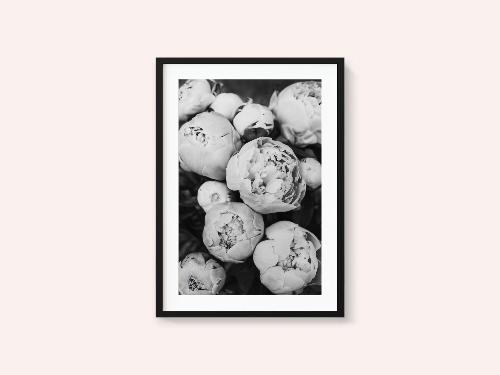 Peonies