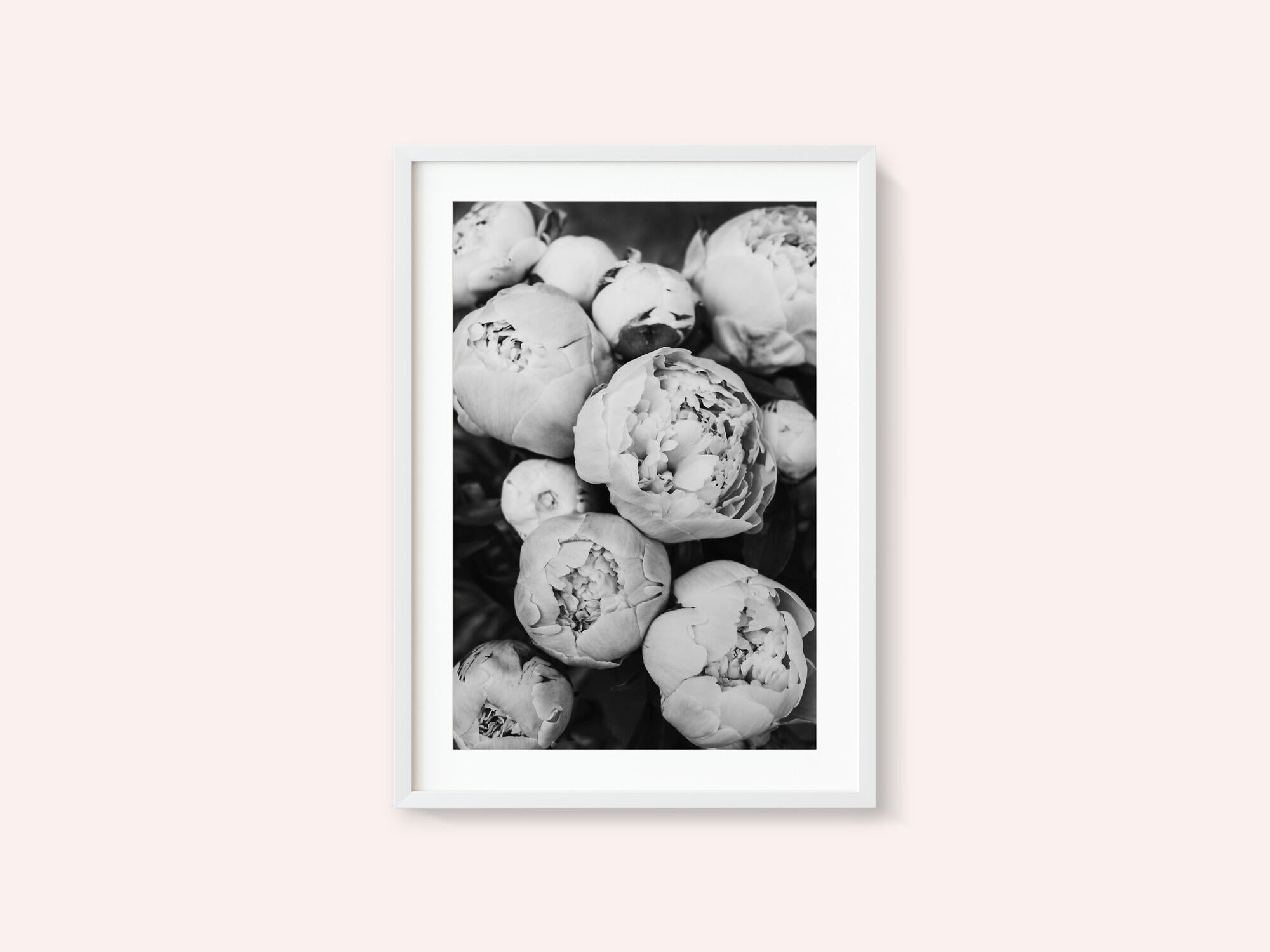 Peonies