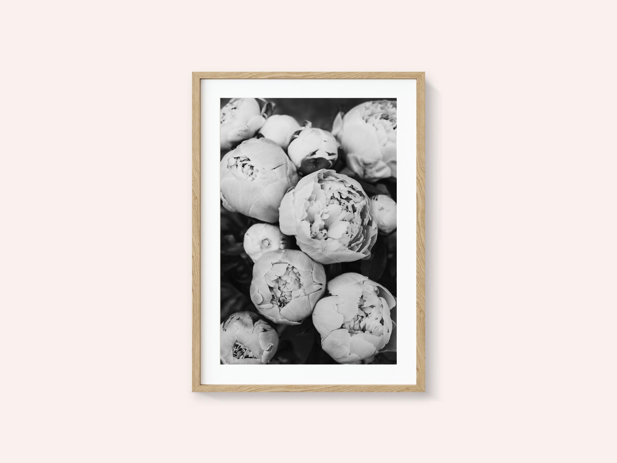 Peonies