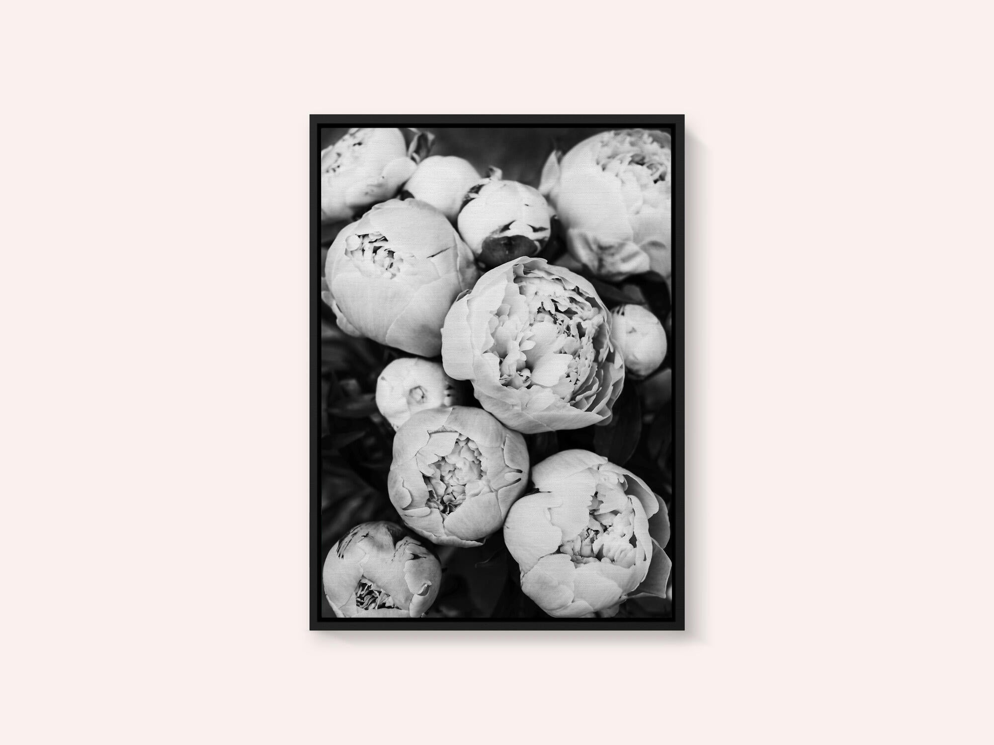 Peonies