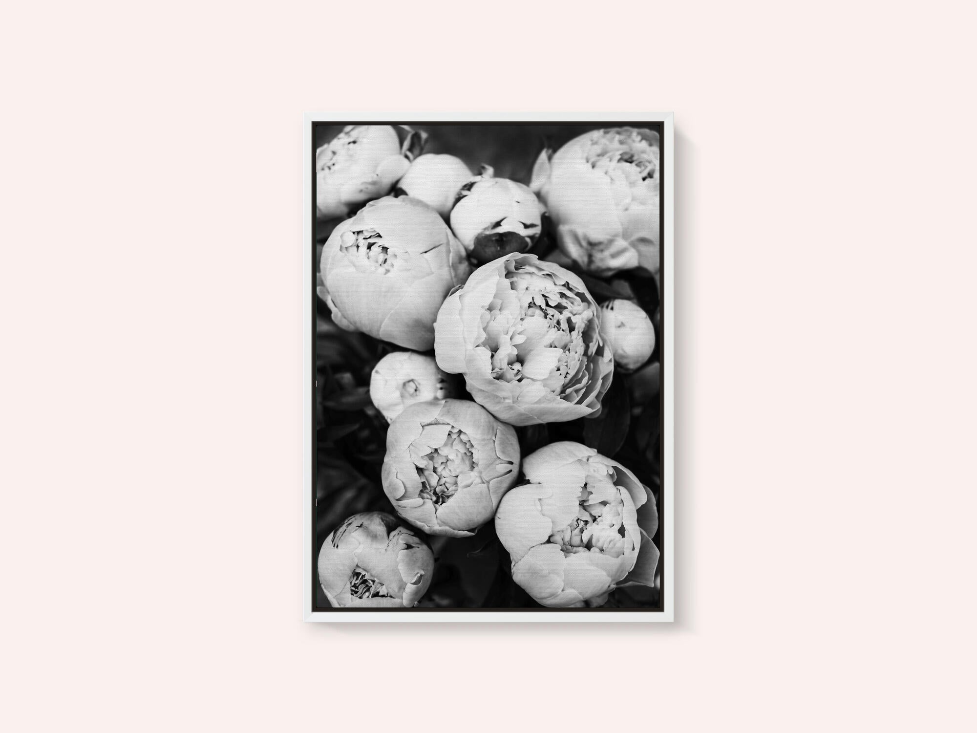Peonies