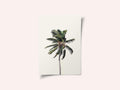 Windy Palm Tree