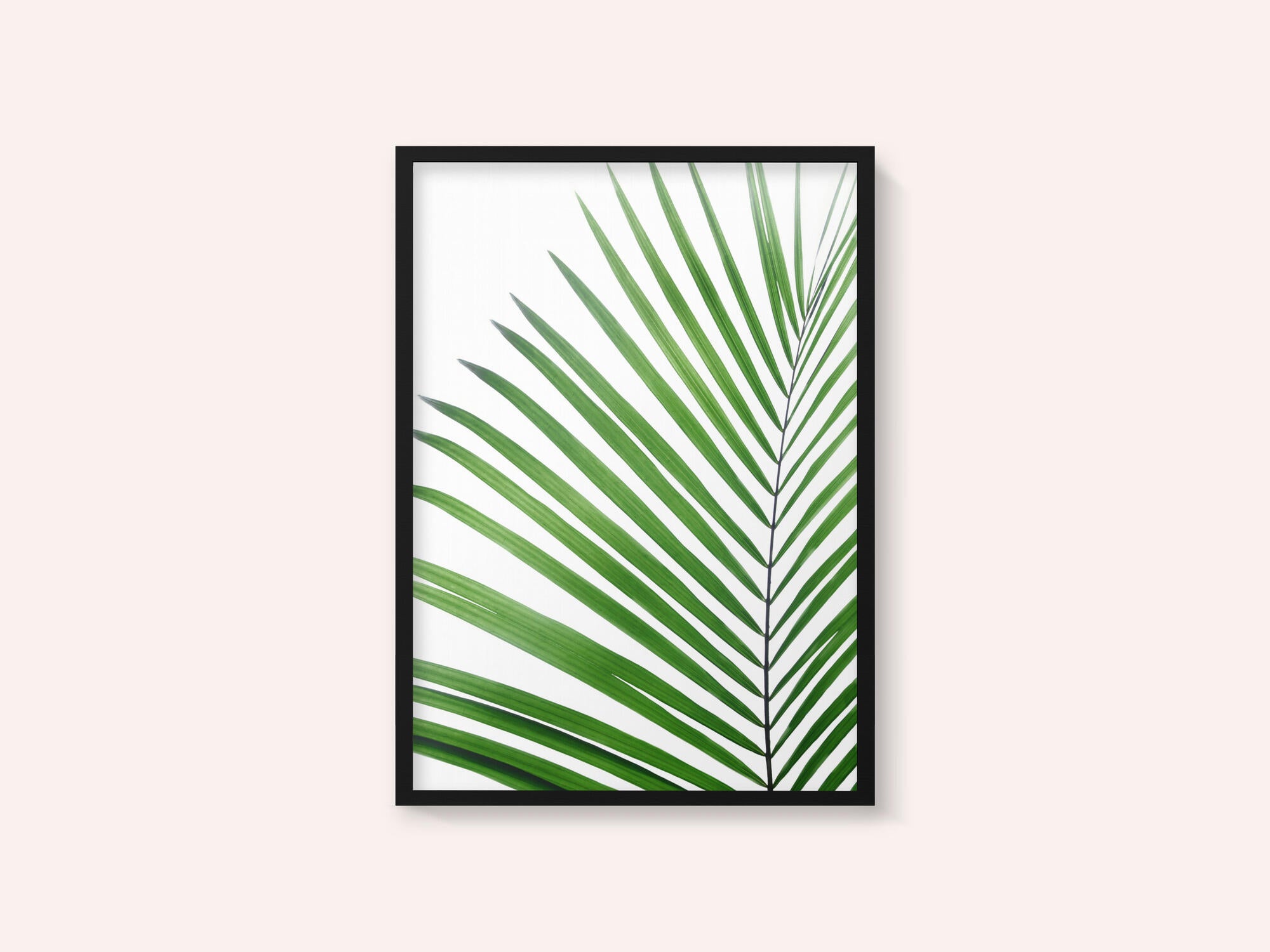 Green Palm Leaf