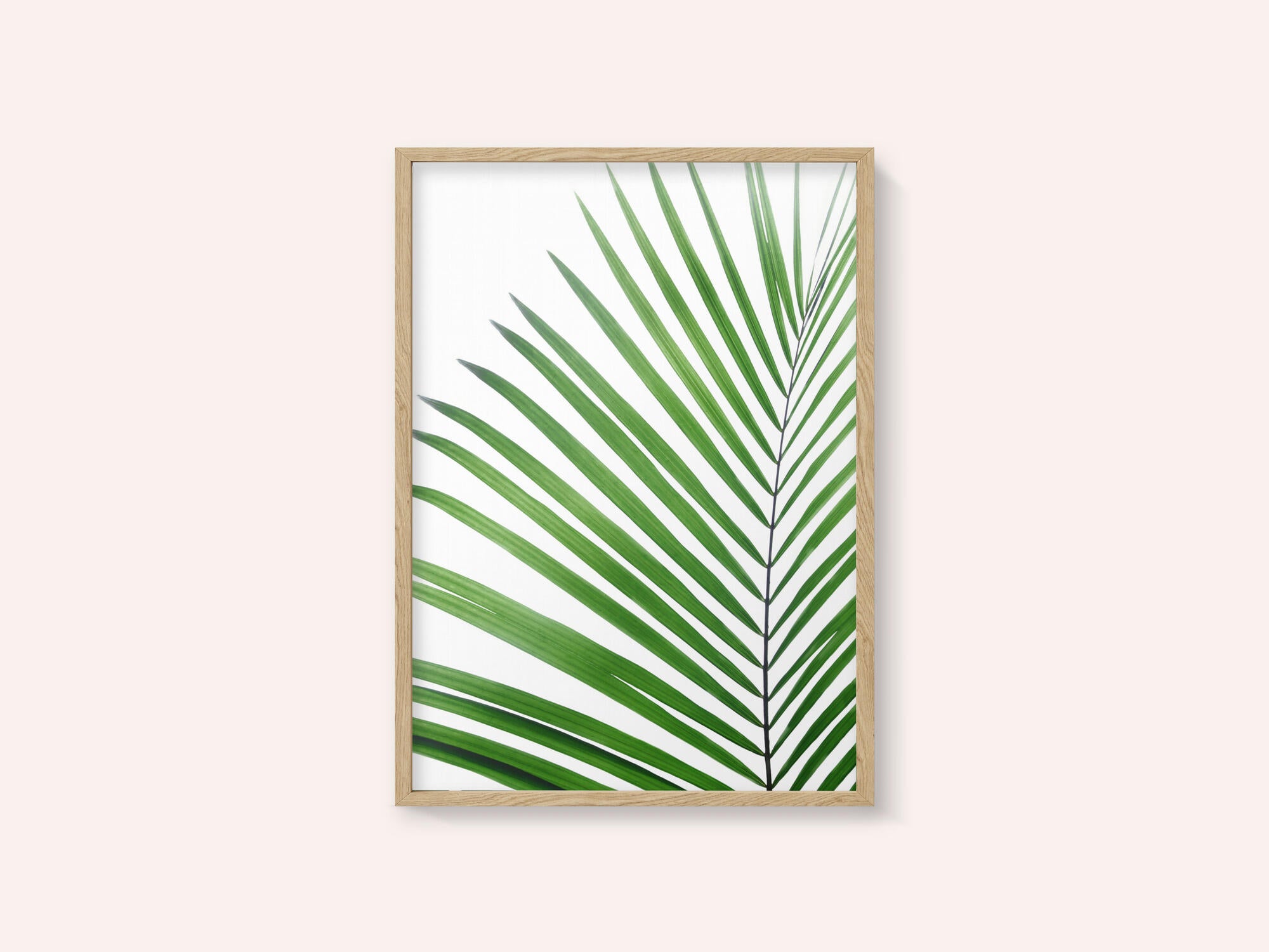 Green Palm Leaf