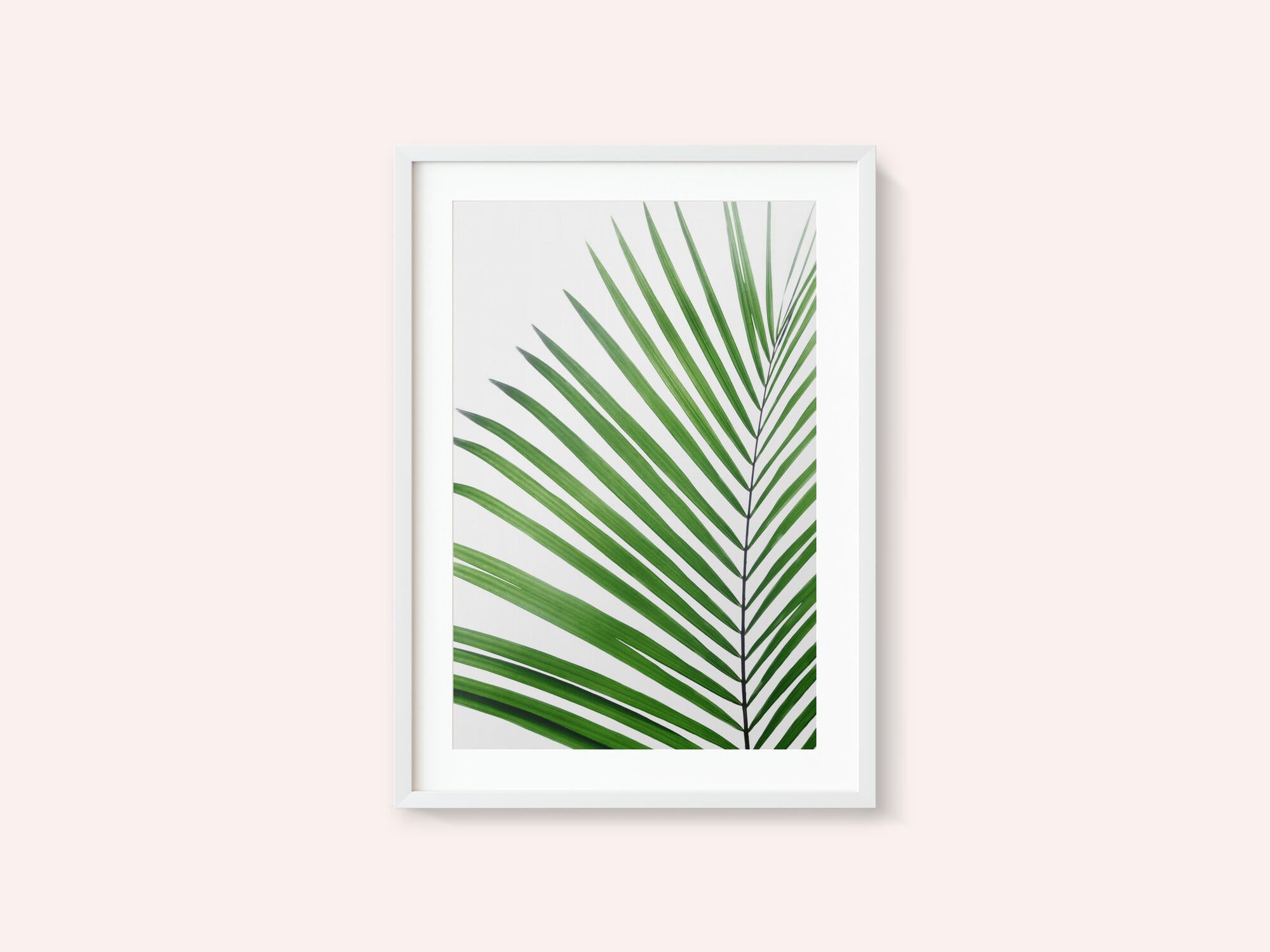 Green Palm Leaf