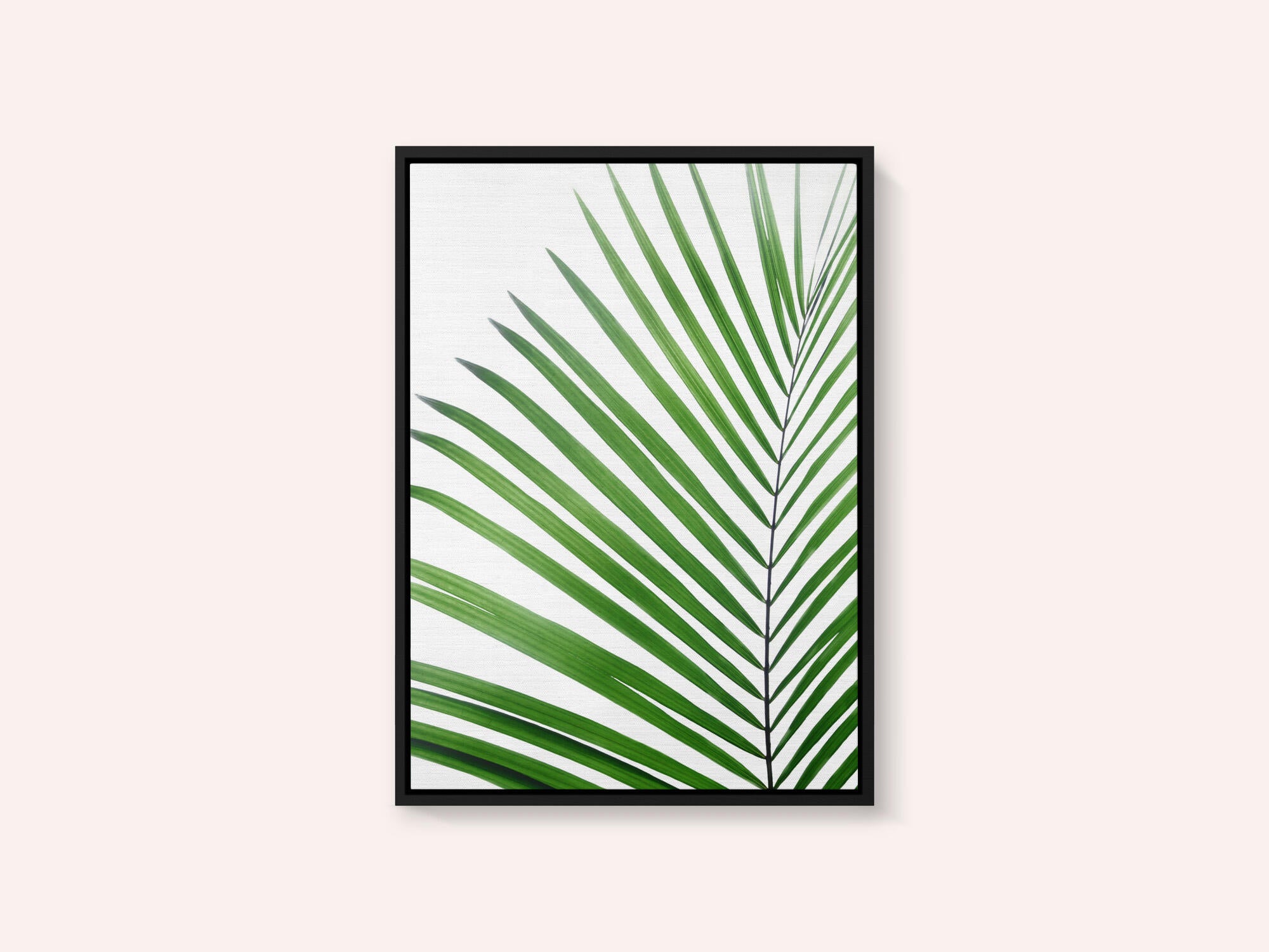 Green Palm Leaf