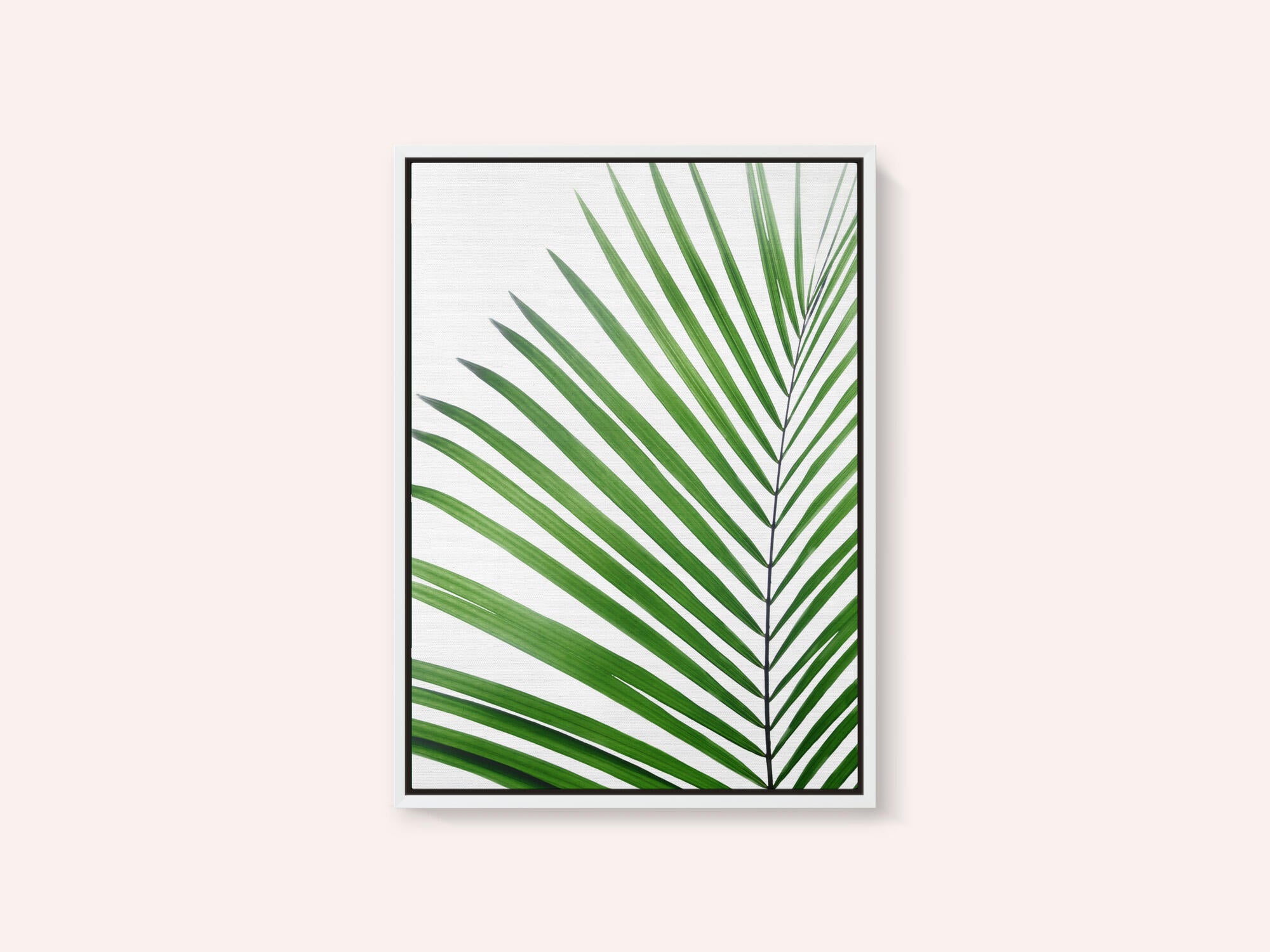 Green Palm Leaf