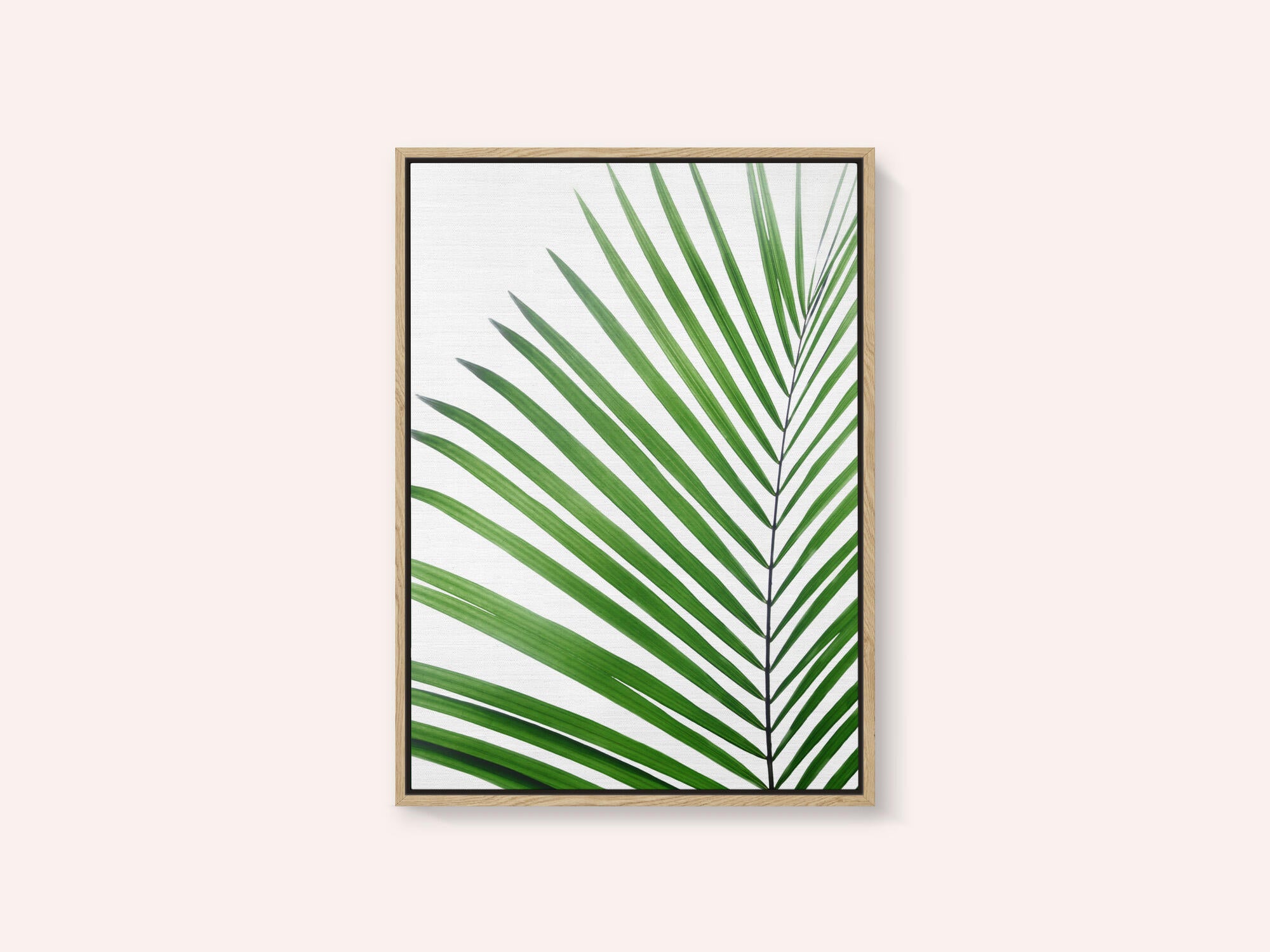 Green Palm Leaf