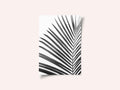 BW Palm Leaf