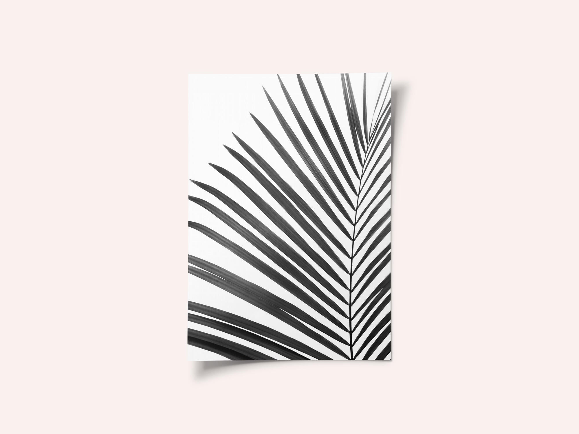 BW Palm Leaf