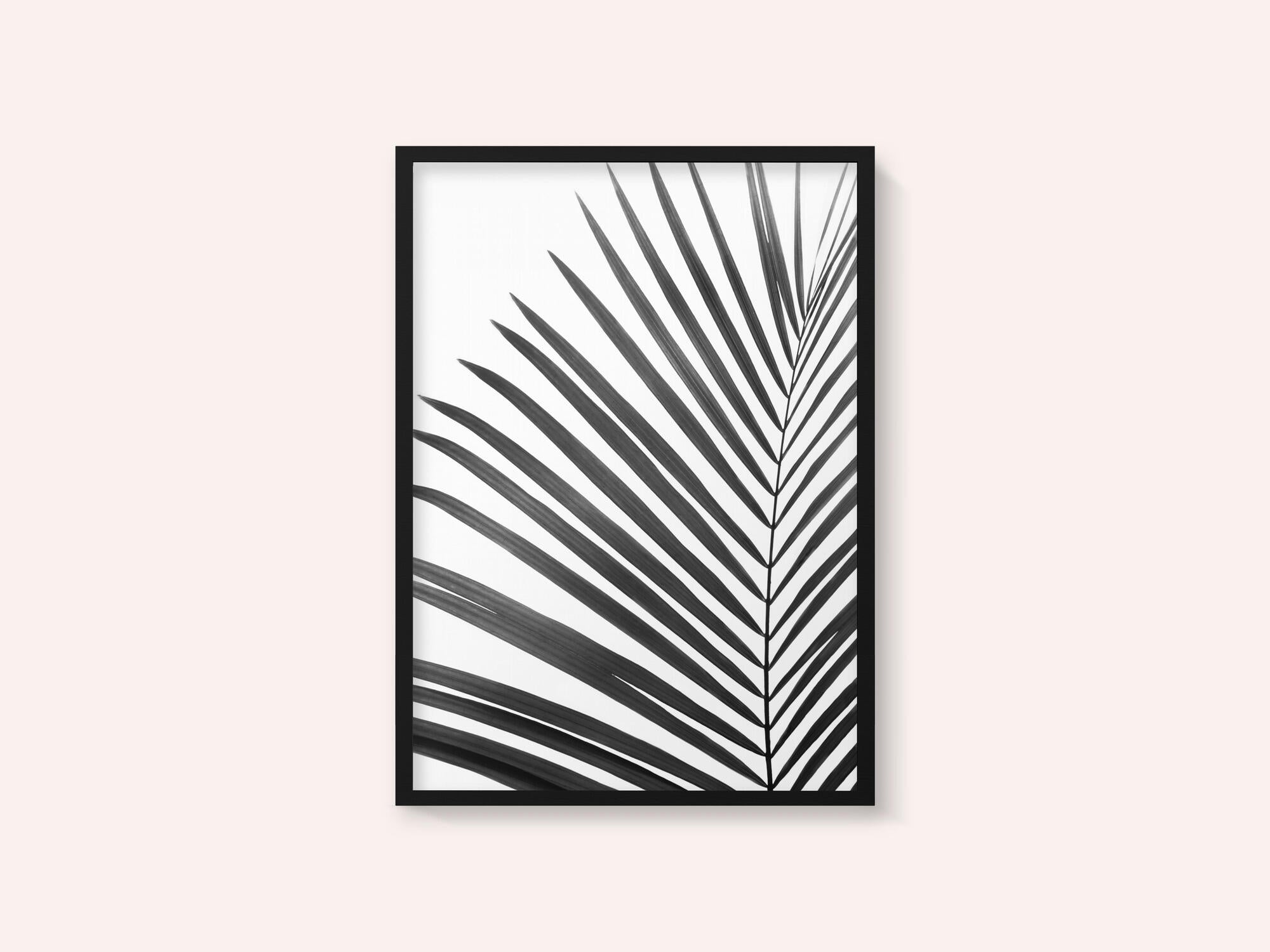 BW Palm Leaf
