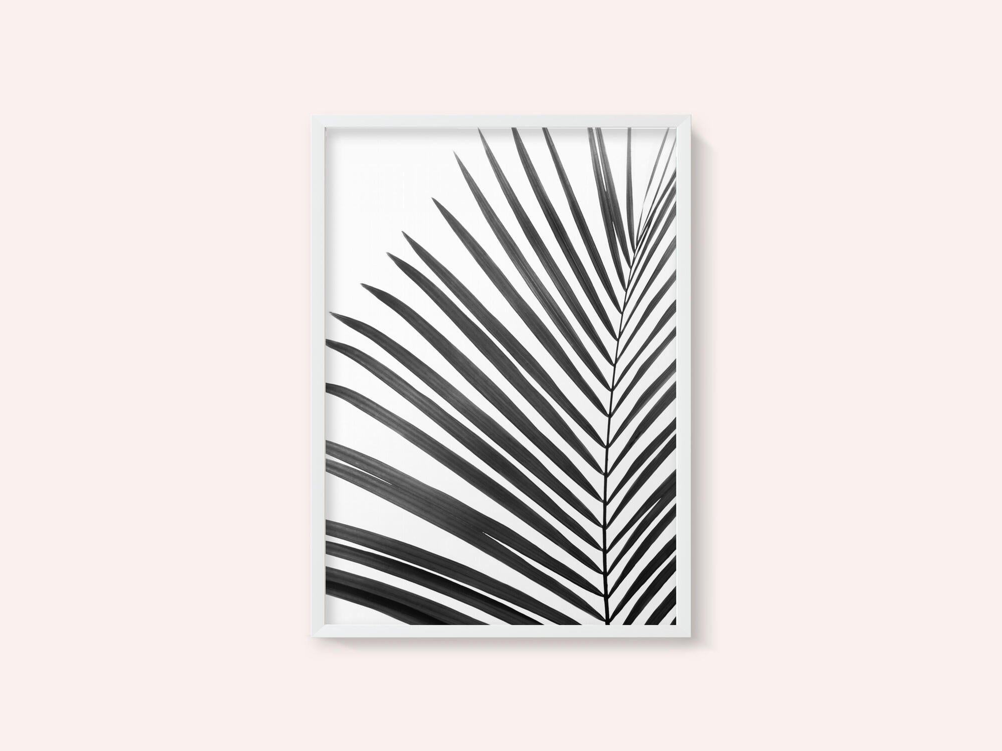 BW Palm Leaf
