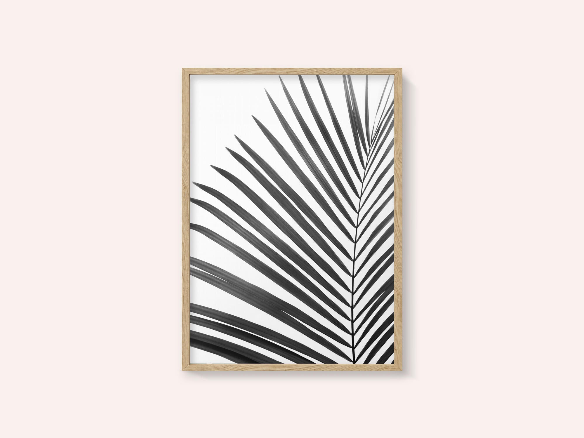 BW Palm Leaf