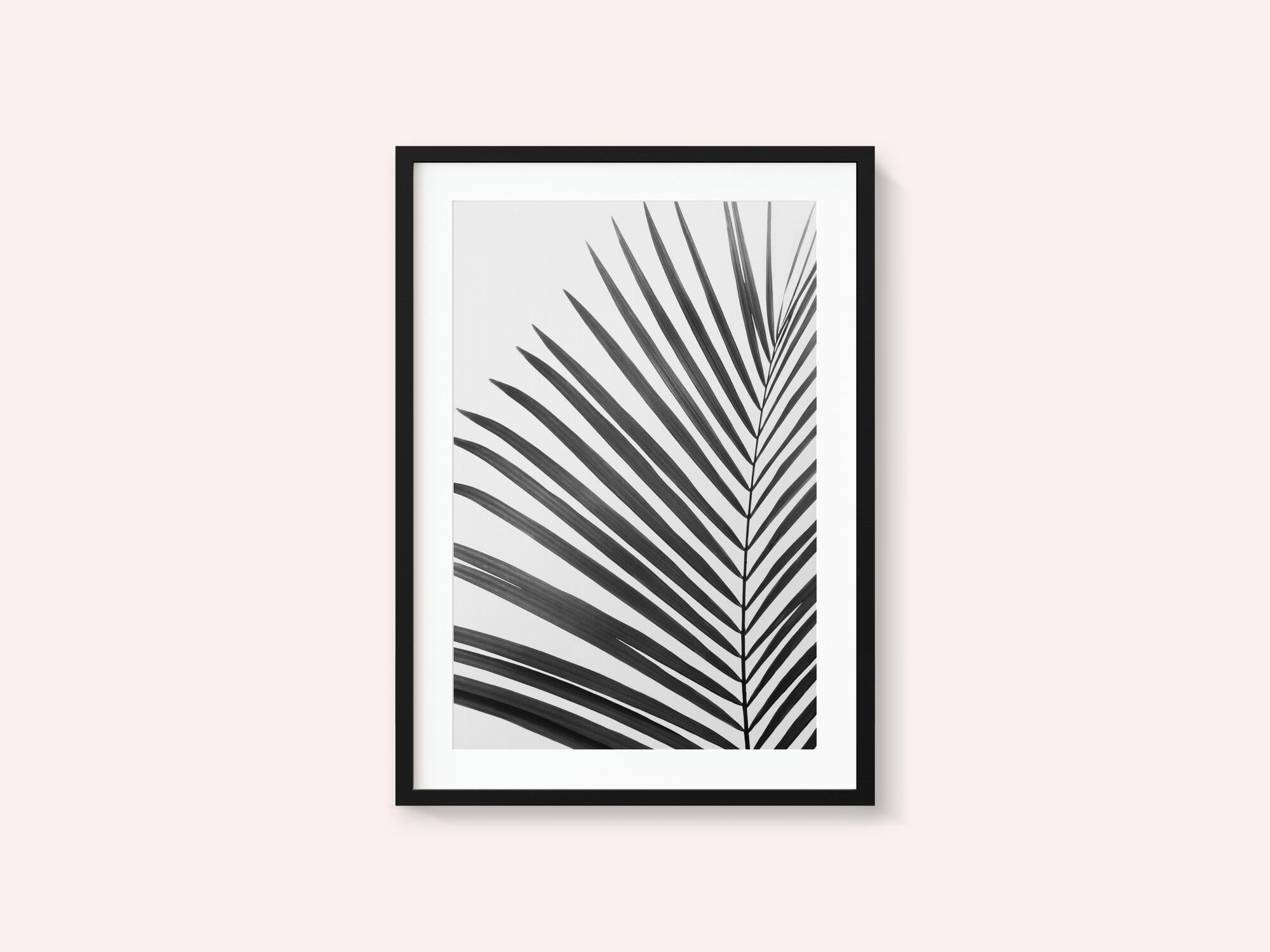 BW Palm Leaf