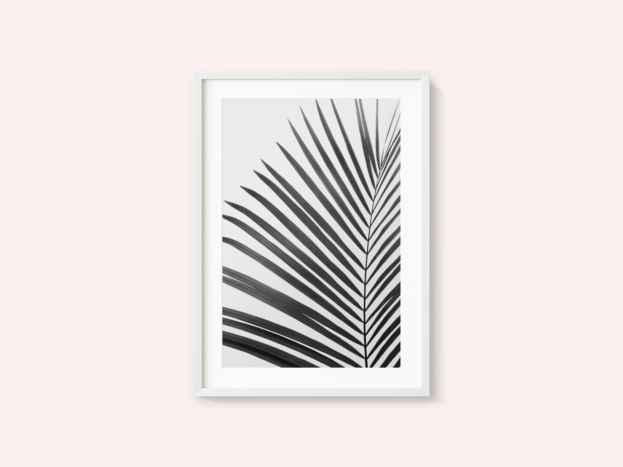 BW Palm Leaf