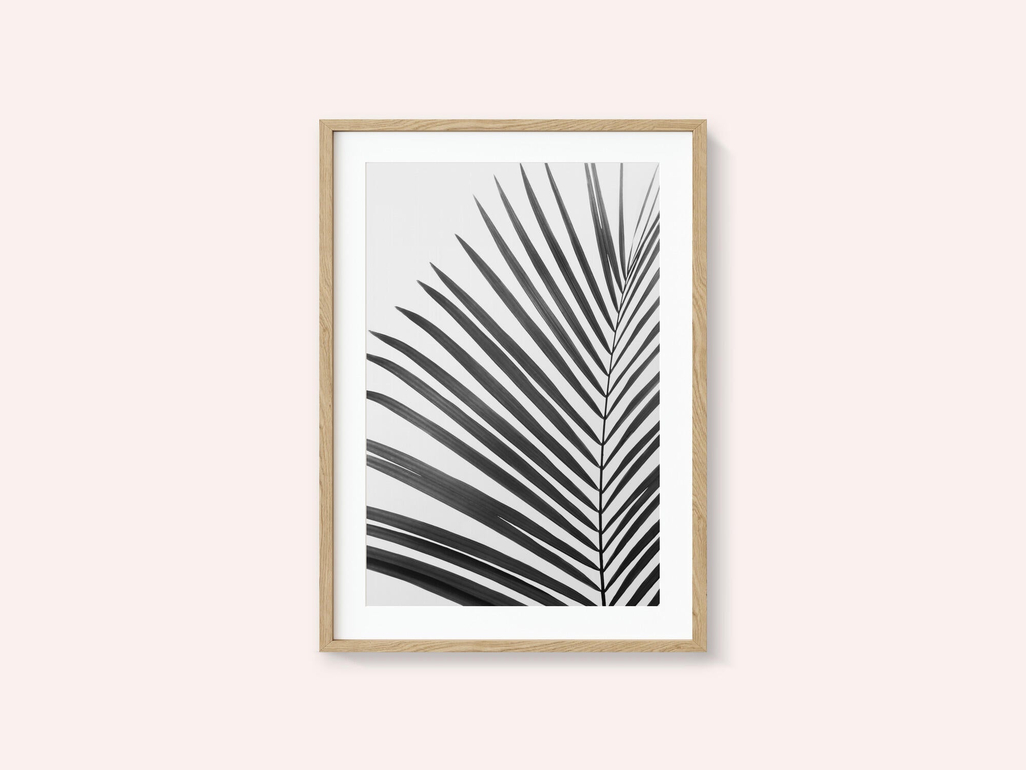 BW Palm Leaf