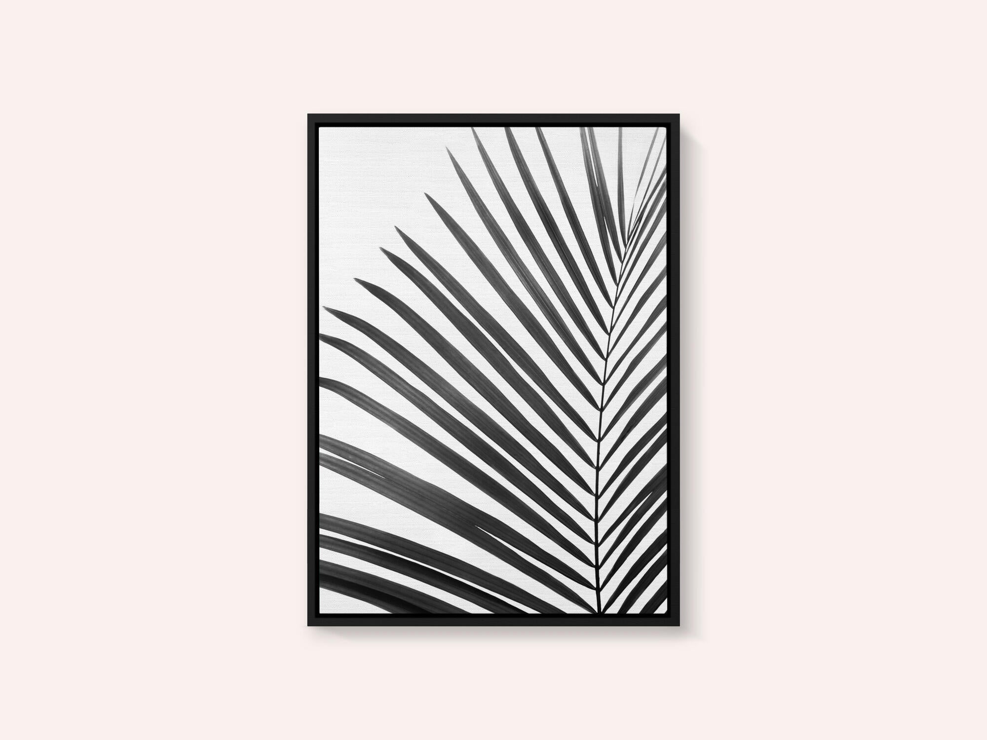 BW Palm Leaf
