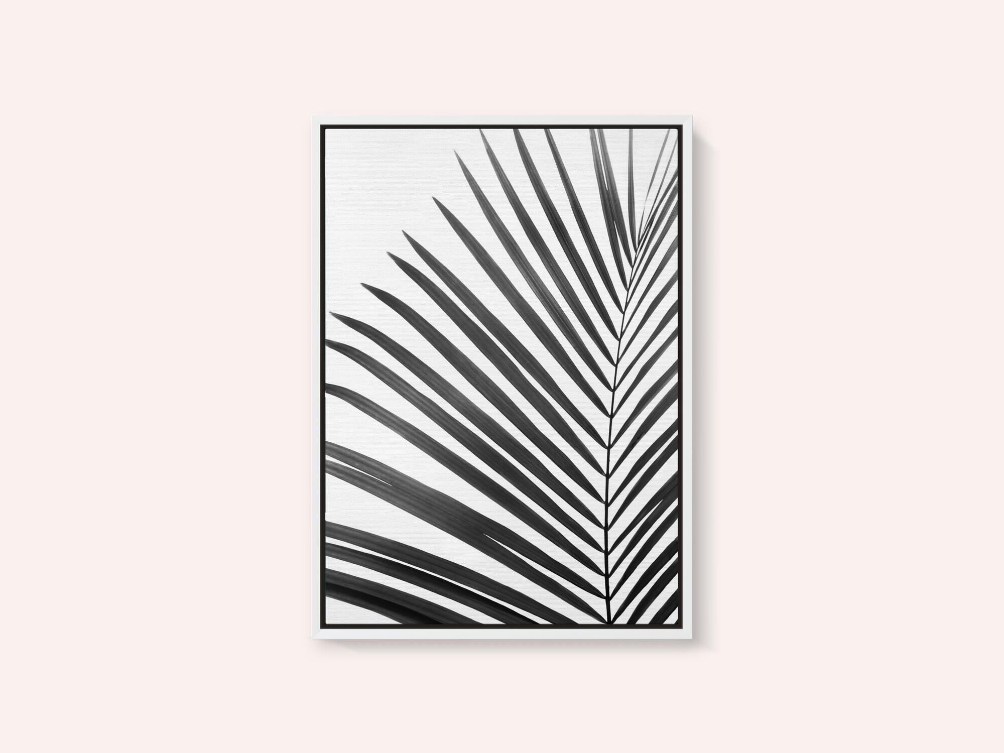 BW Palm Leaf