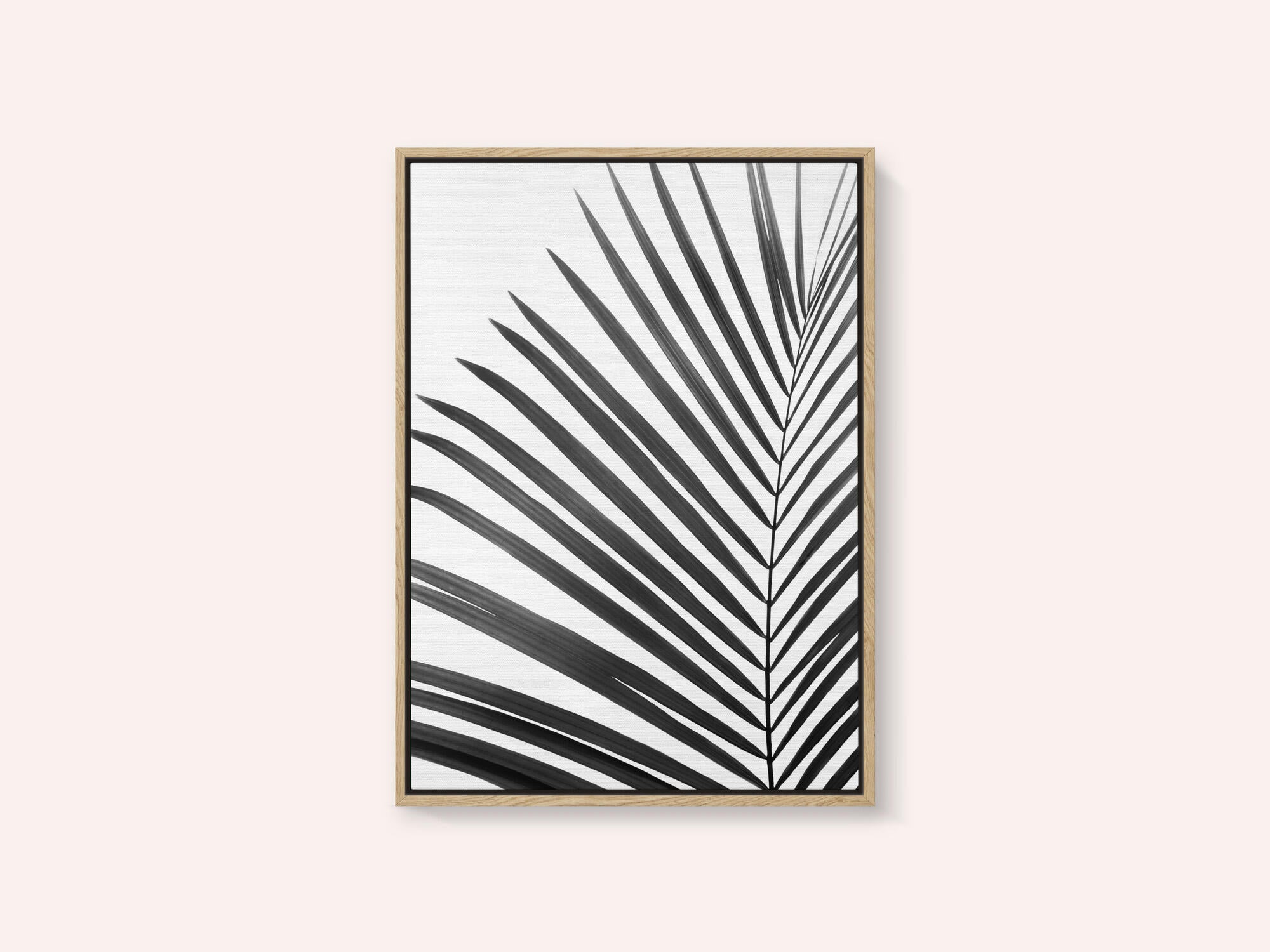 BW Palm Leaf