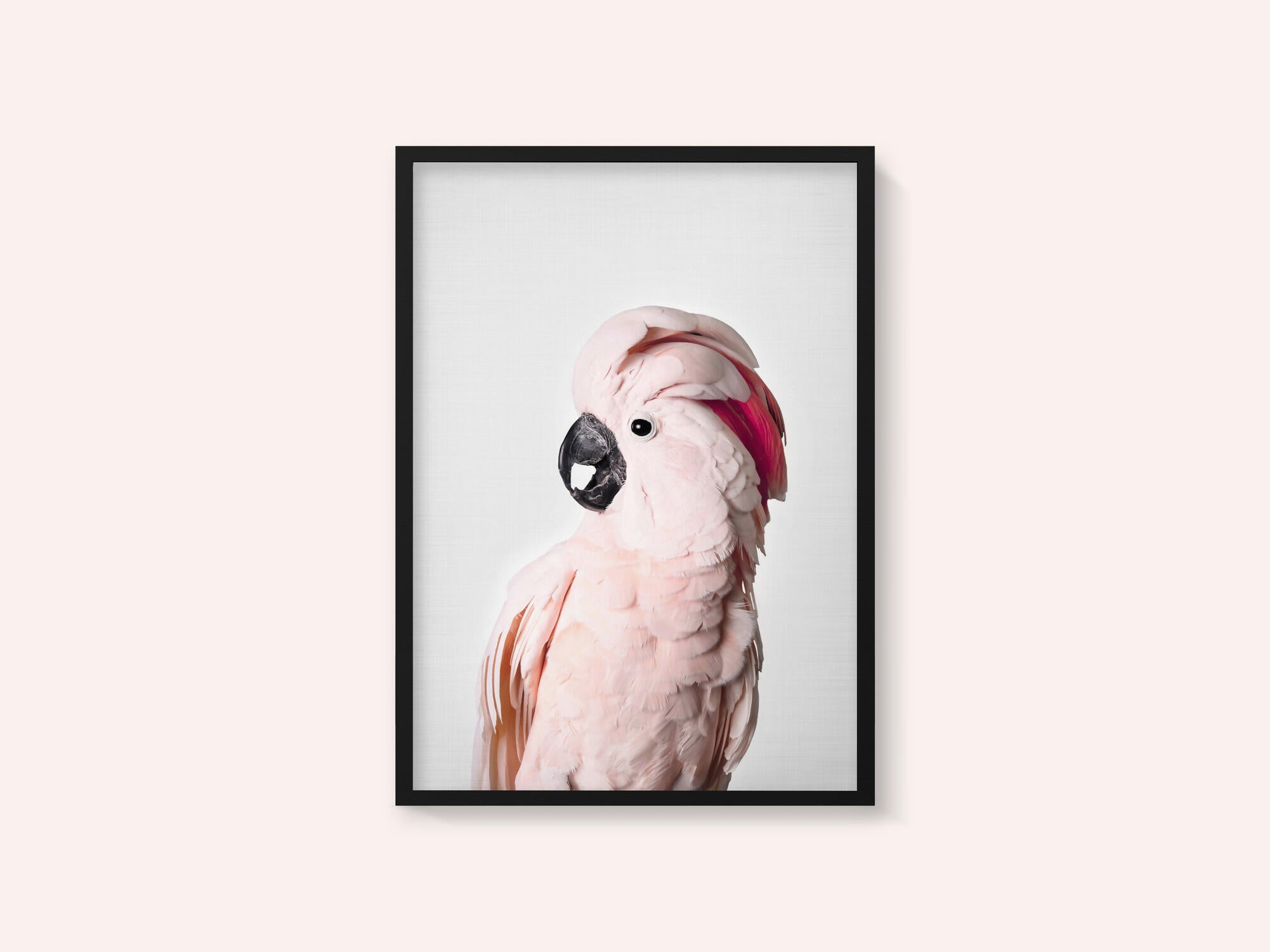 Pink Cockatoo