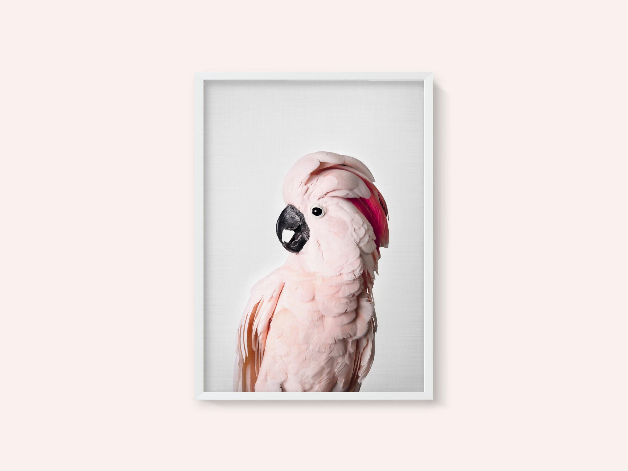 Pink Cockatoo