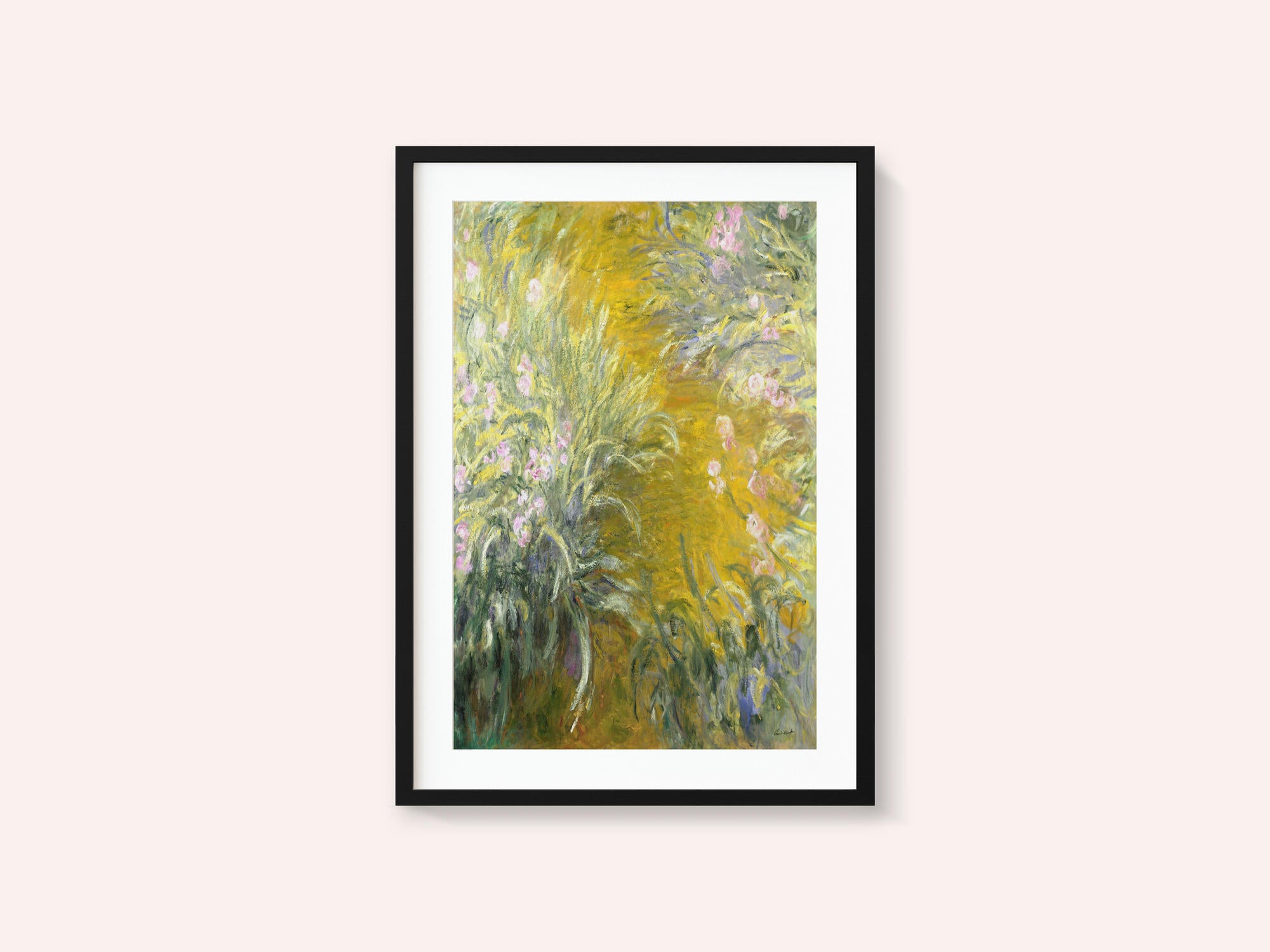 The Path through the Irises