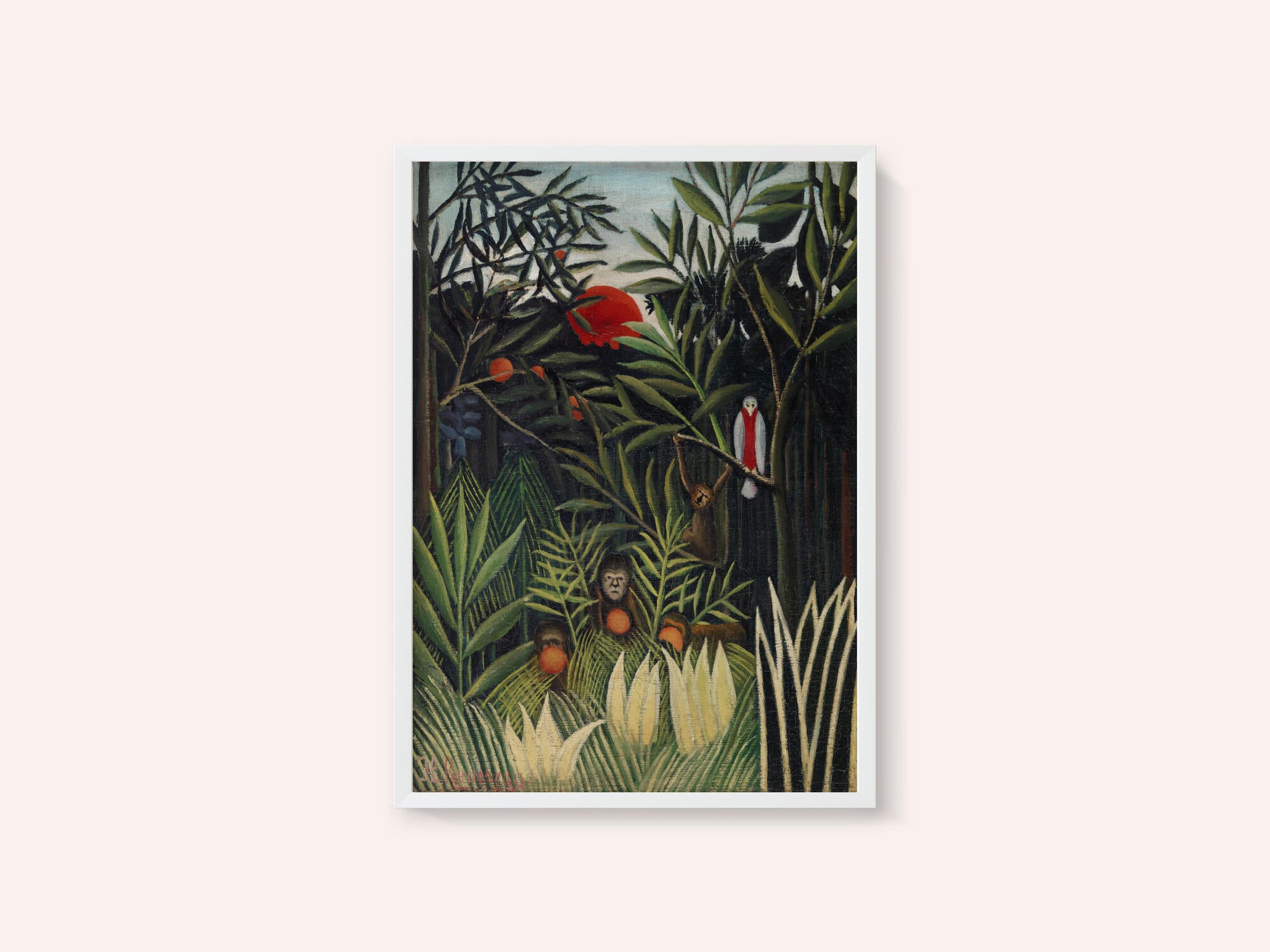 Monkeys And Parrot In The Virgin Forest