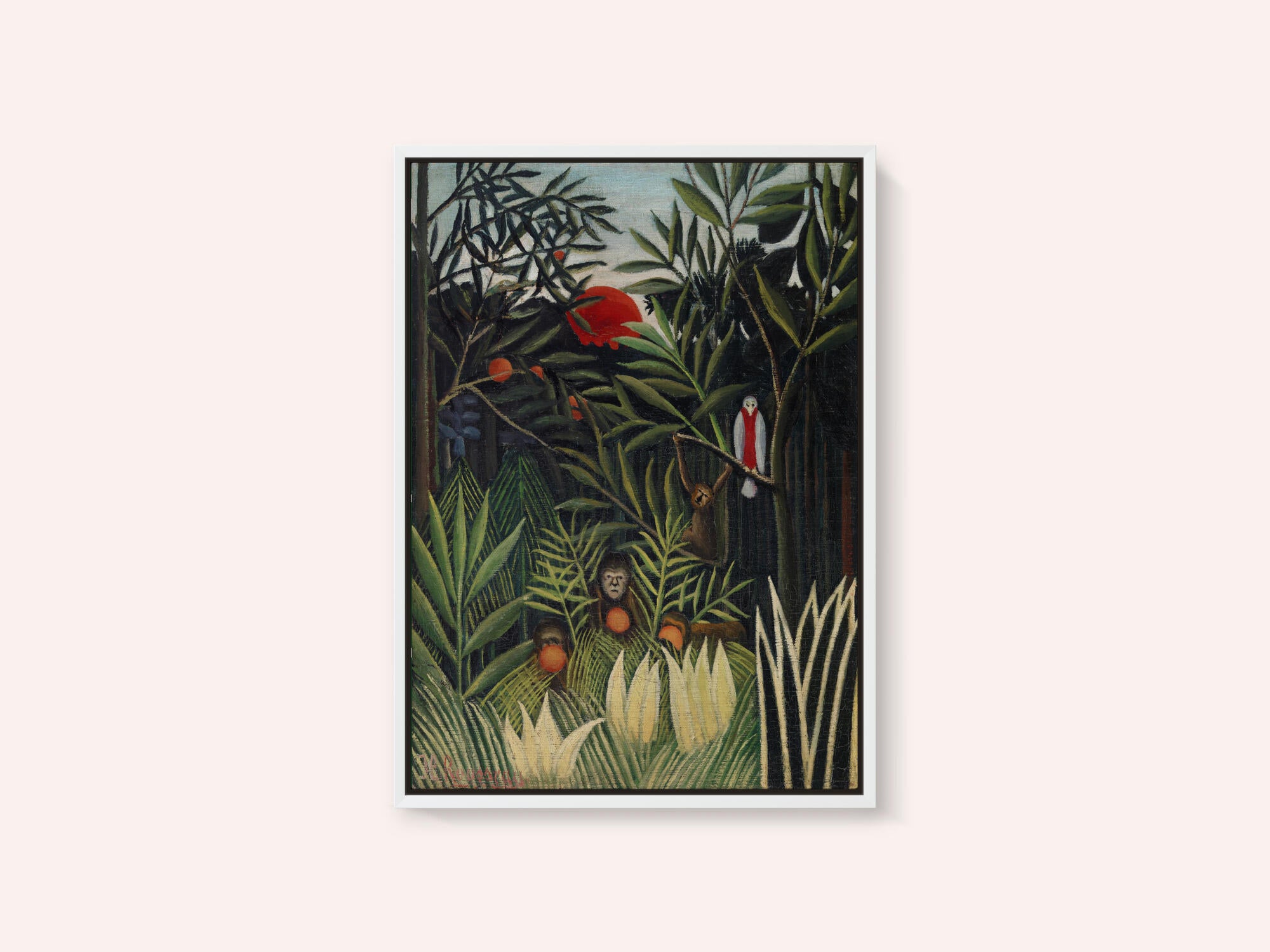 Monkeys And Parrot In The Virgin Forest