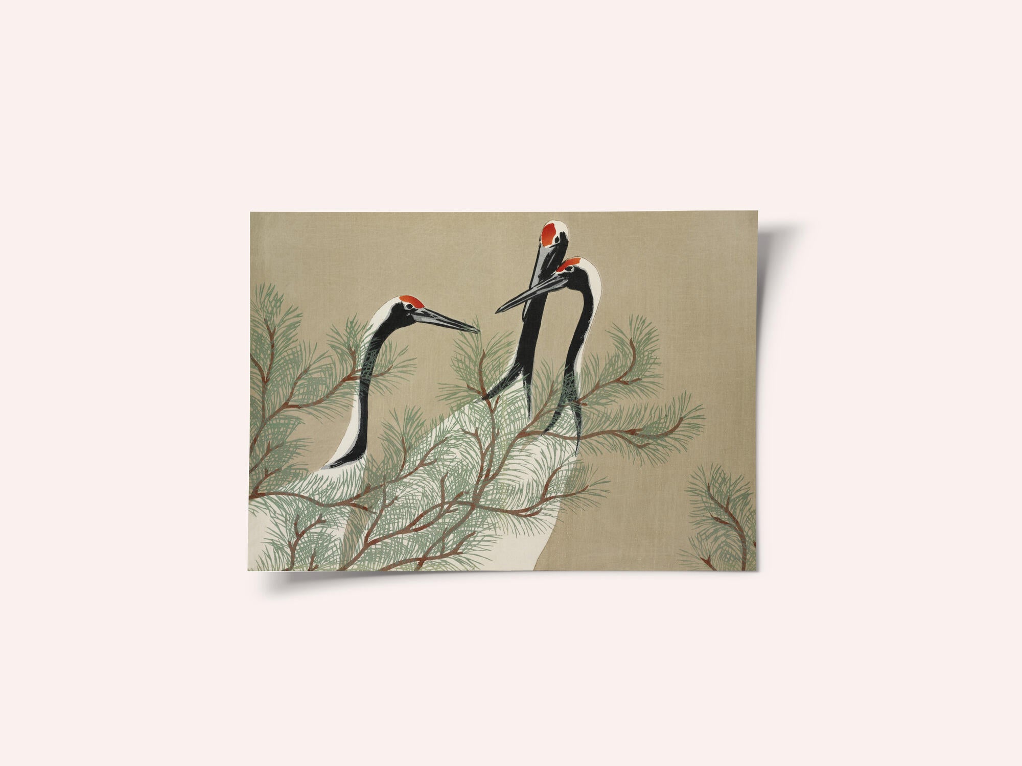 Cranes From Momoyogusa