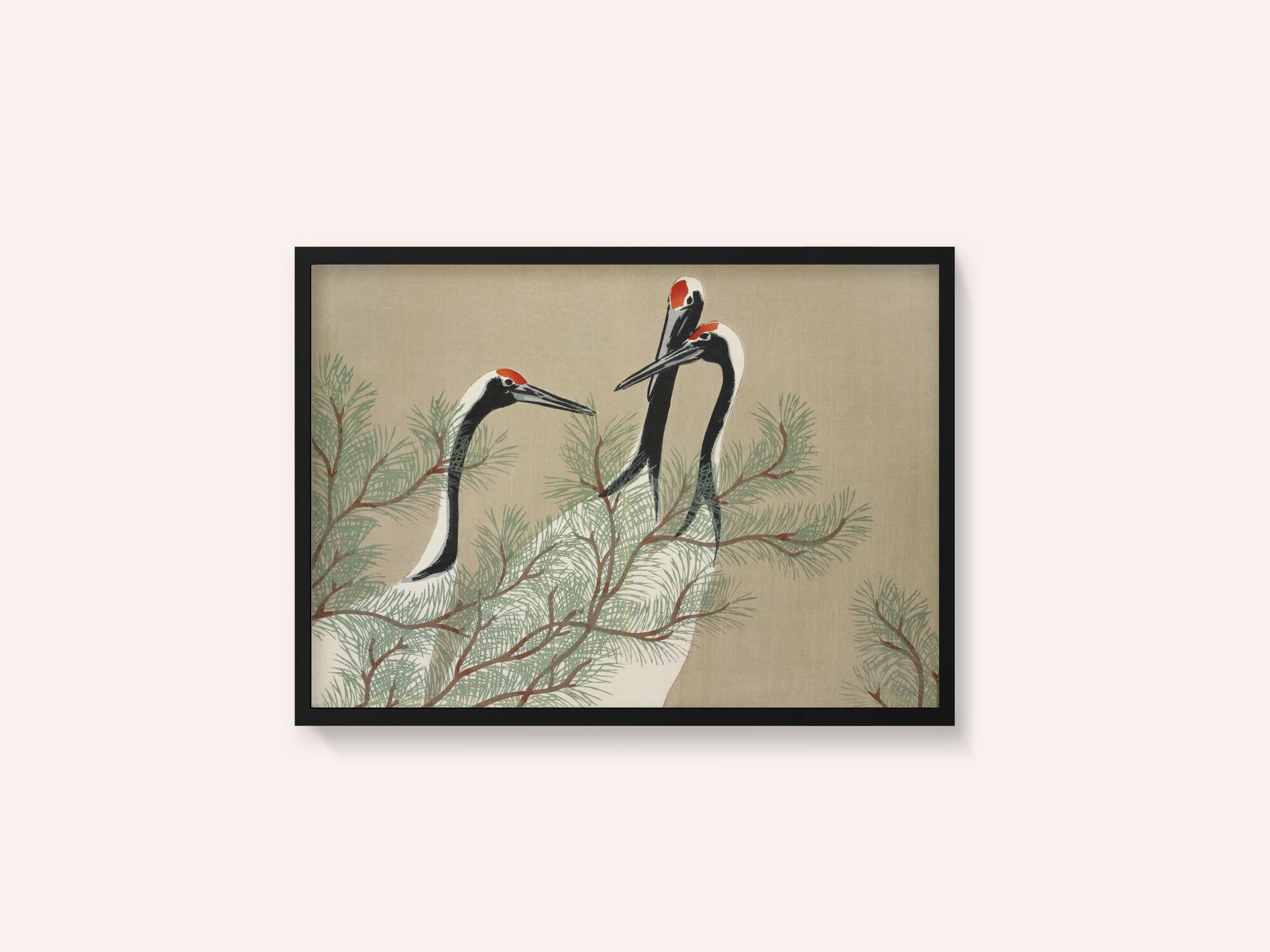 Cranes From Momoyogusa