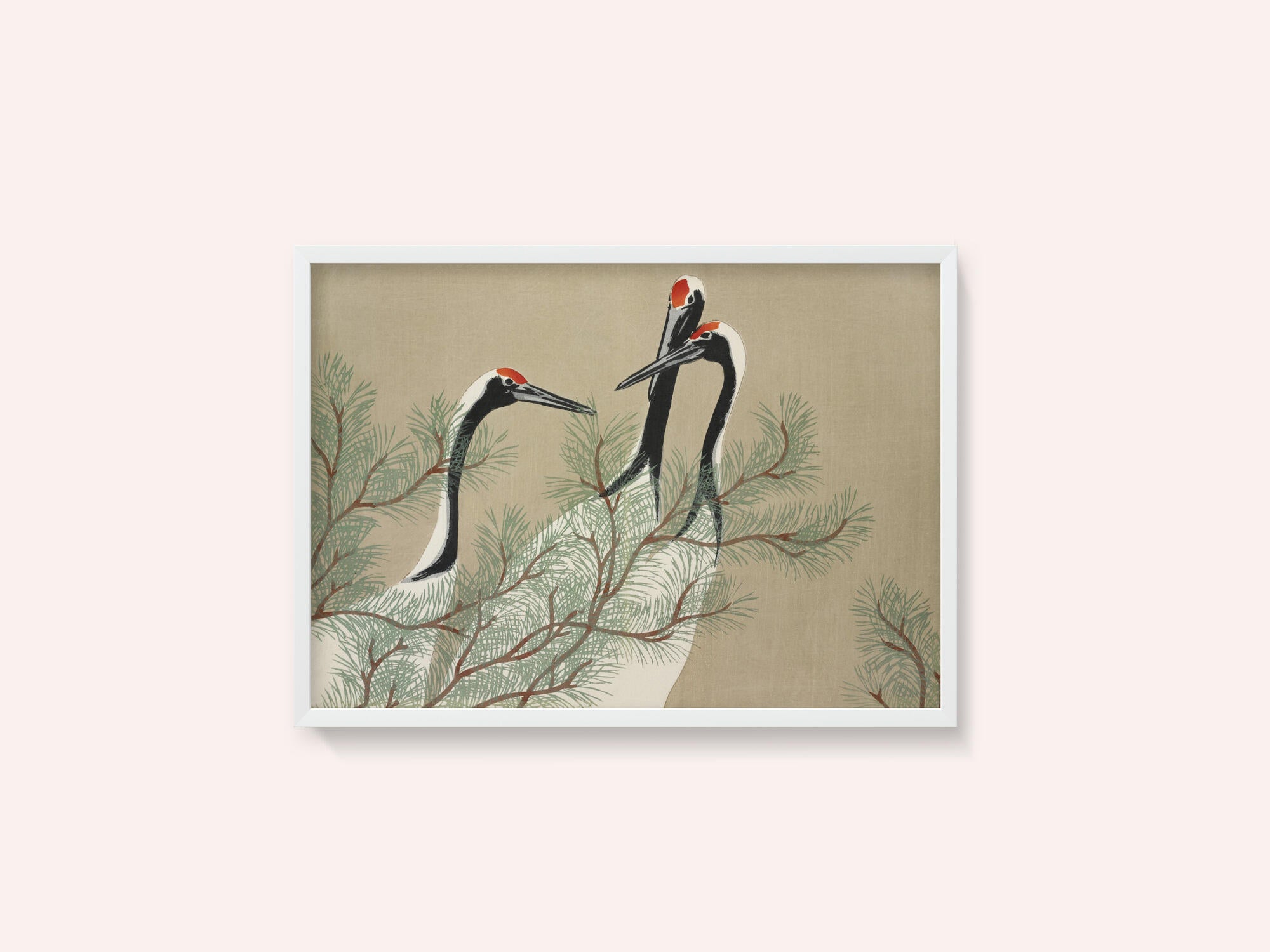 Cranes From Momoyogusa