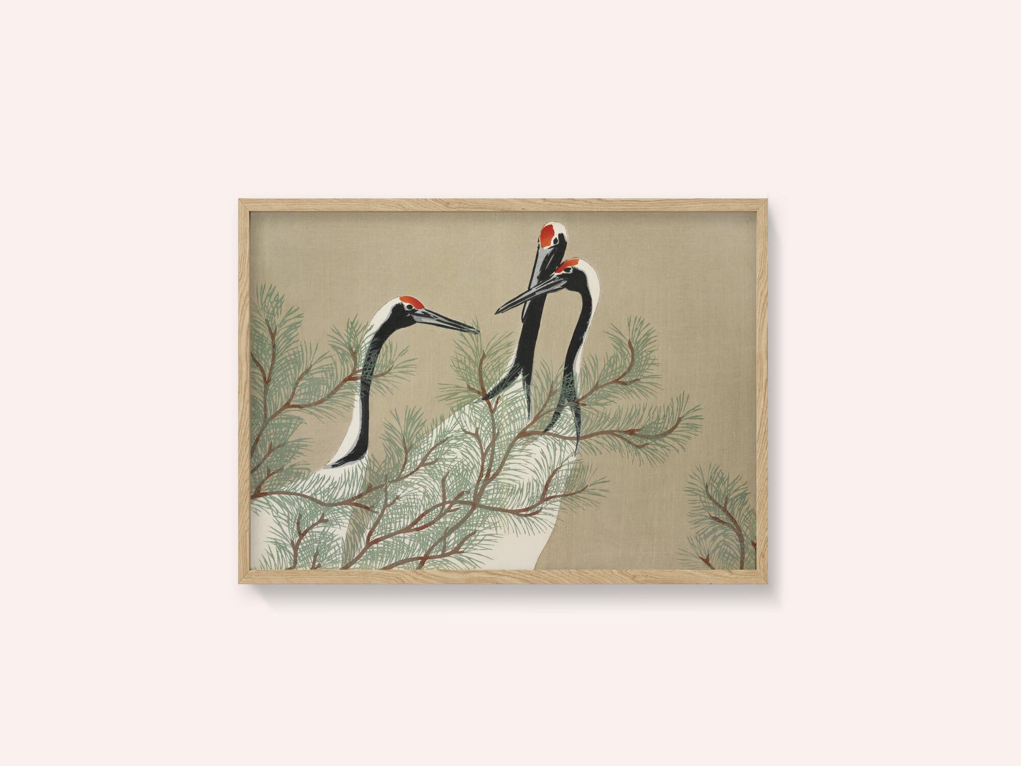Cranes From Momoyogusa