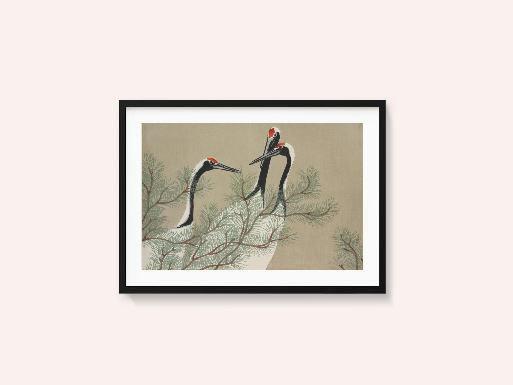 Cranes From Momoyogusa