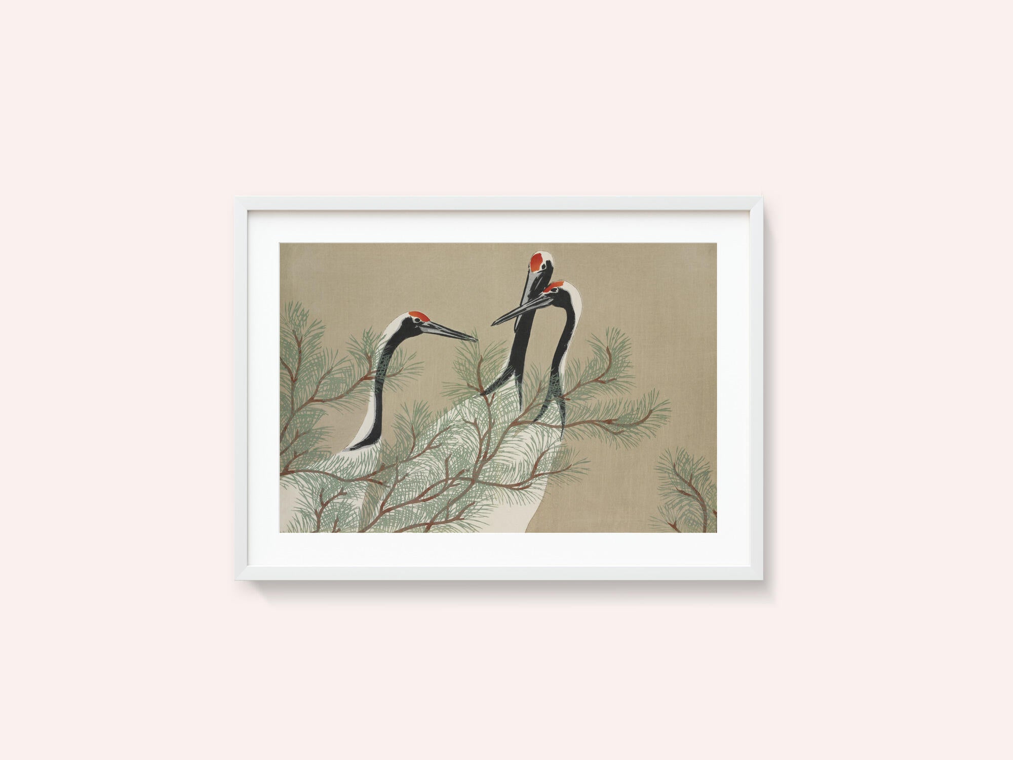 Cranes From Momoyogusa