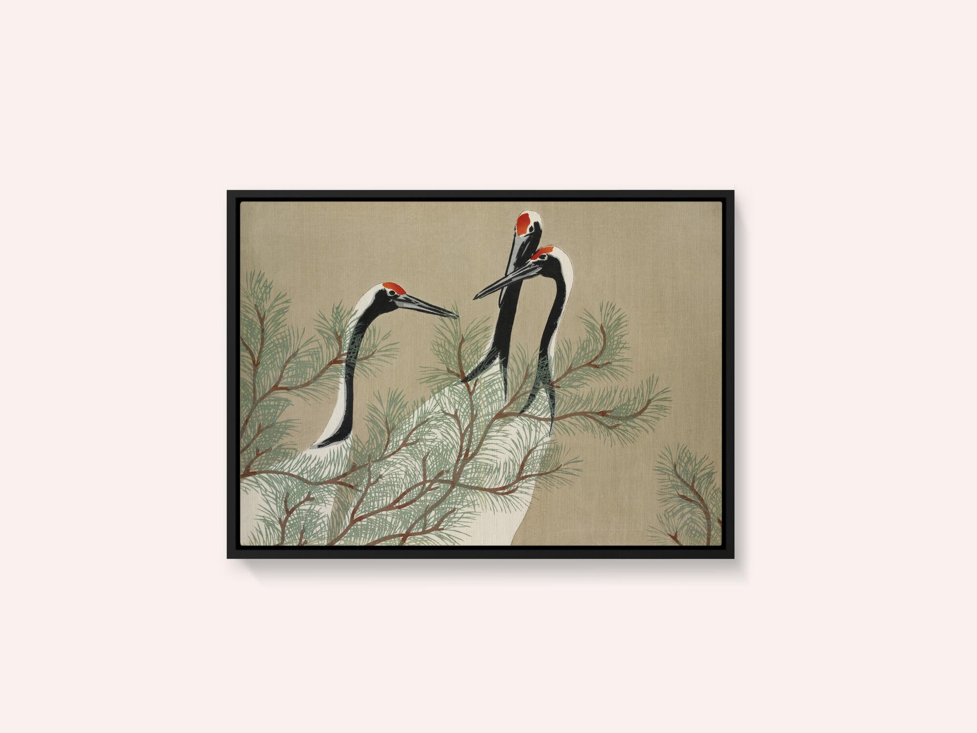 Cranes From Momoyogusa