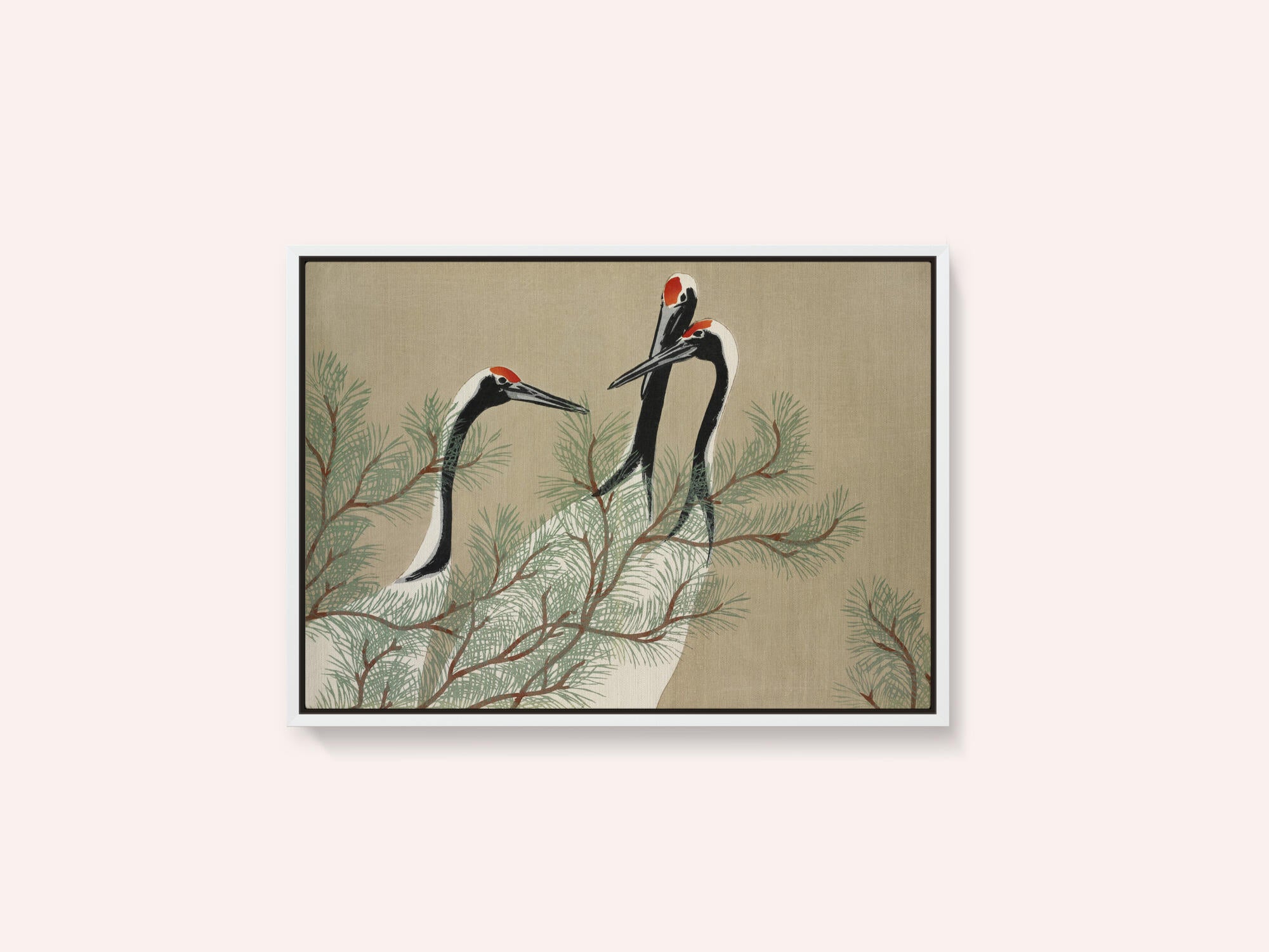 Cranes From Momoyogusa