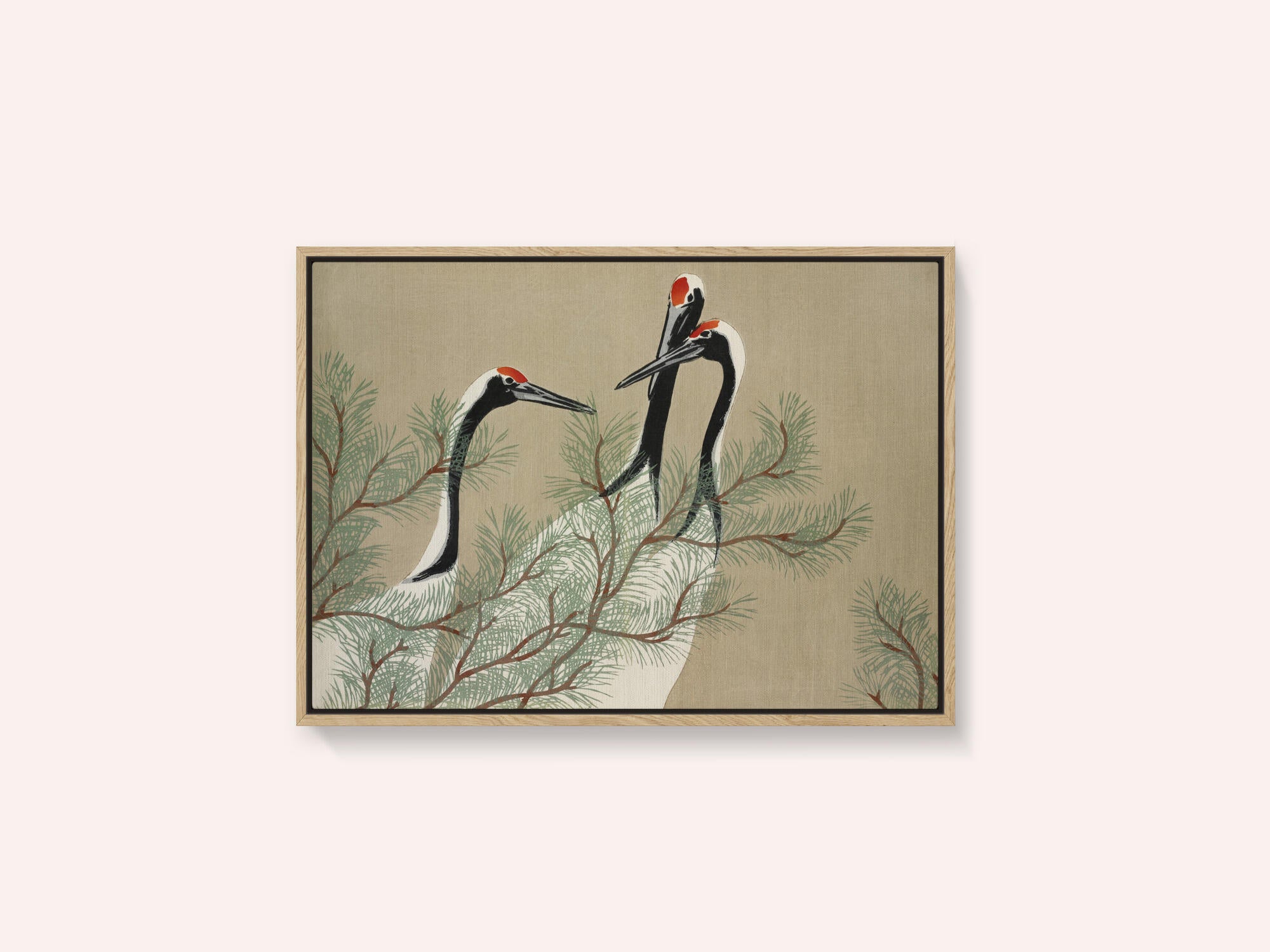 Cranes From Momoyogusa
