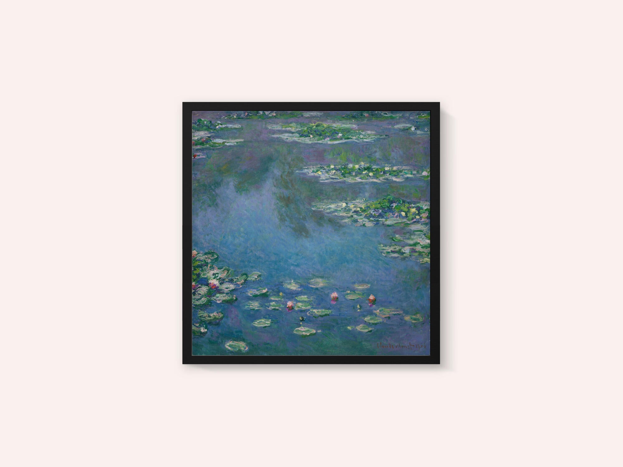 Water Lilies
