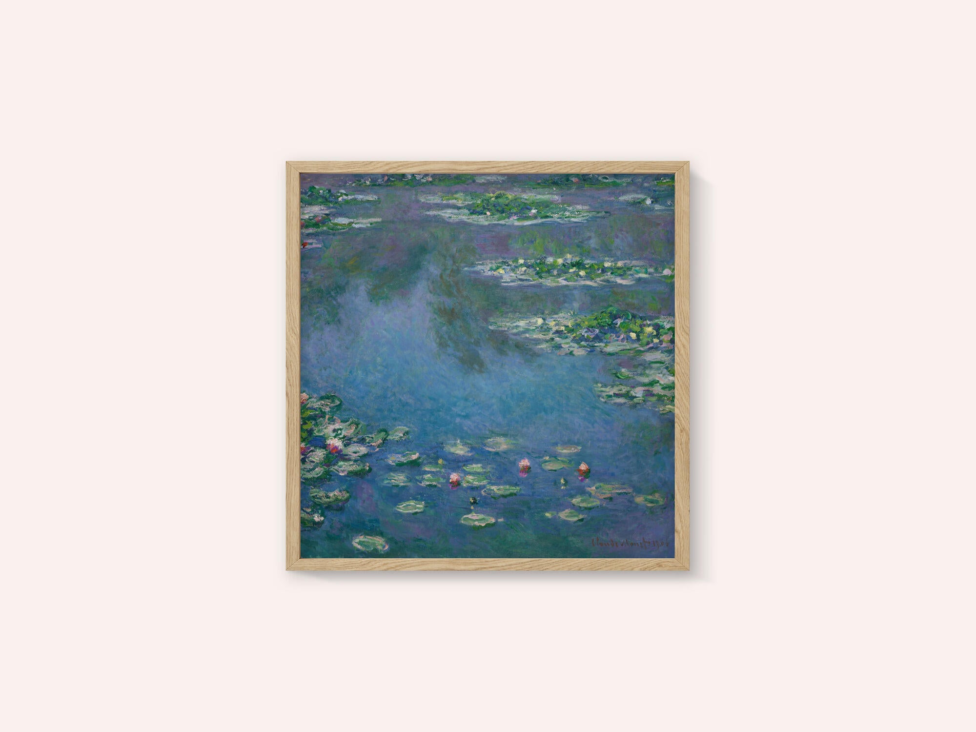 Water Lilies
