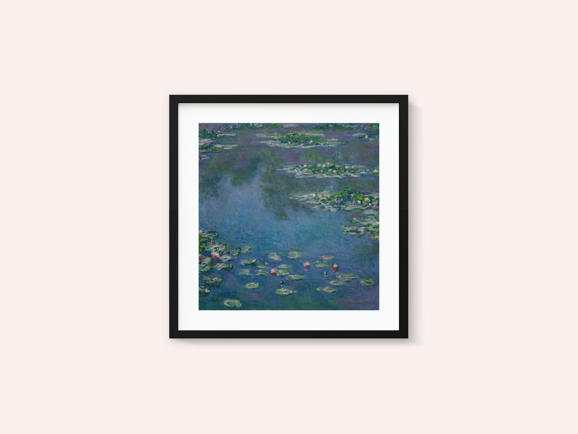 Water Lilies