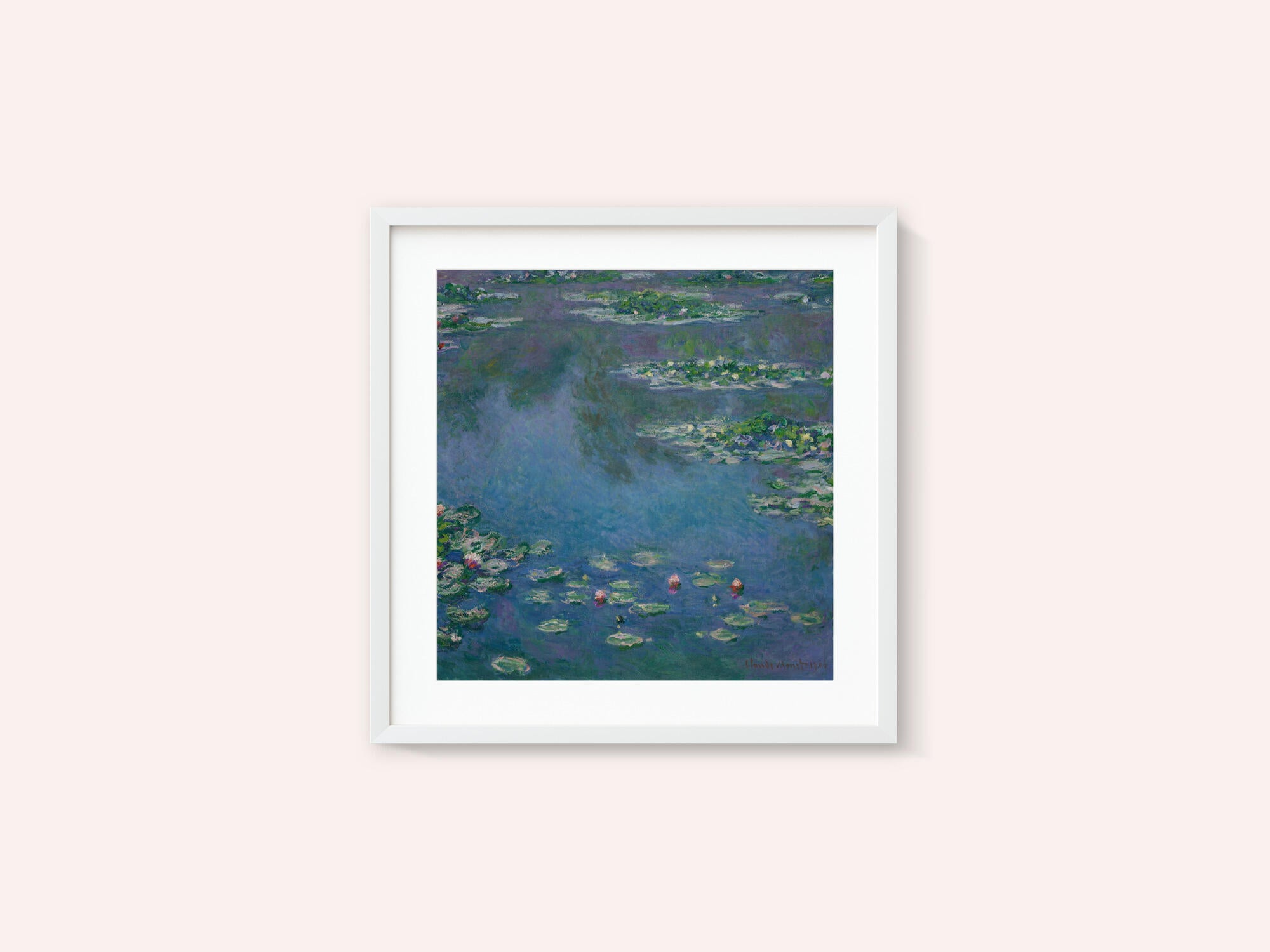 Water Lilies