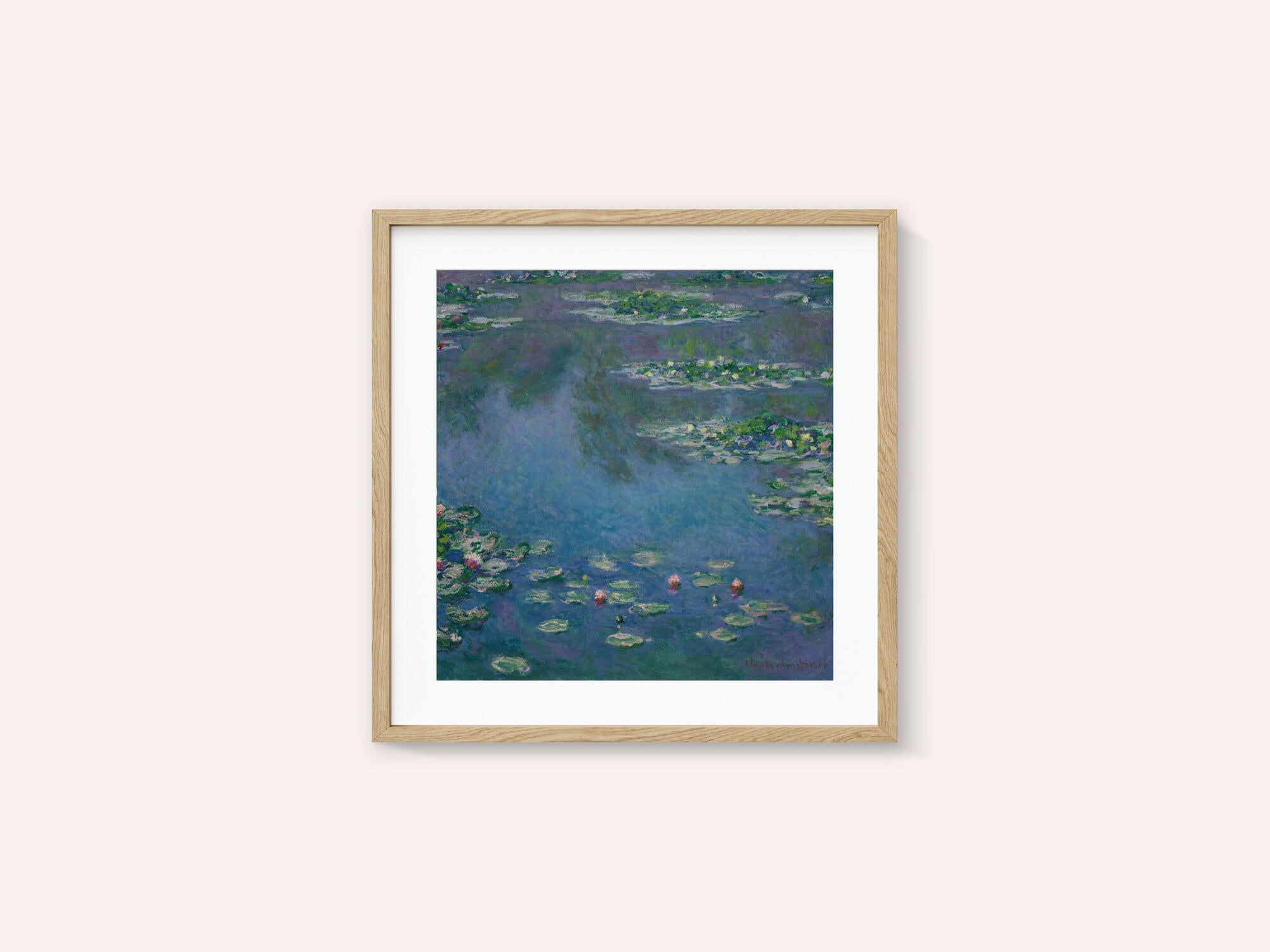 Water Lilies