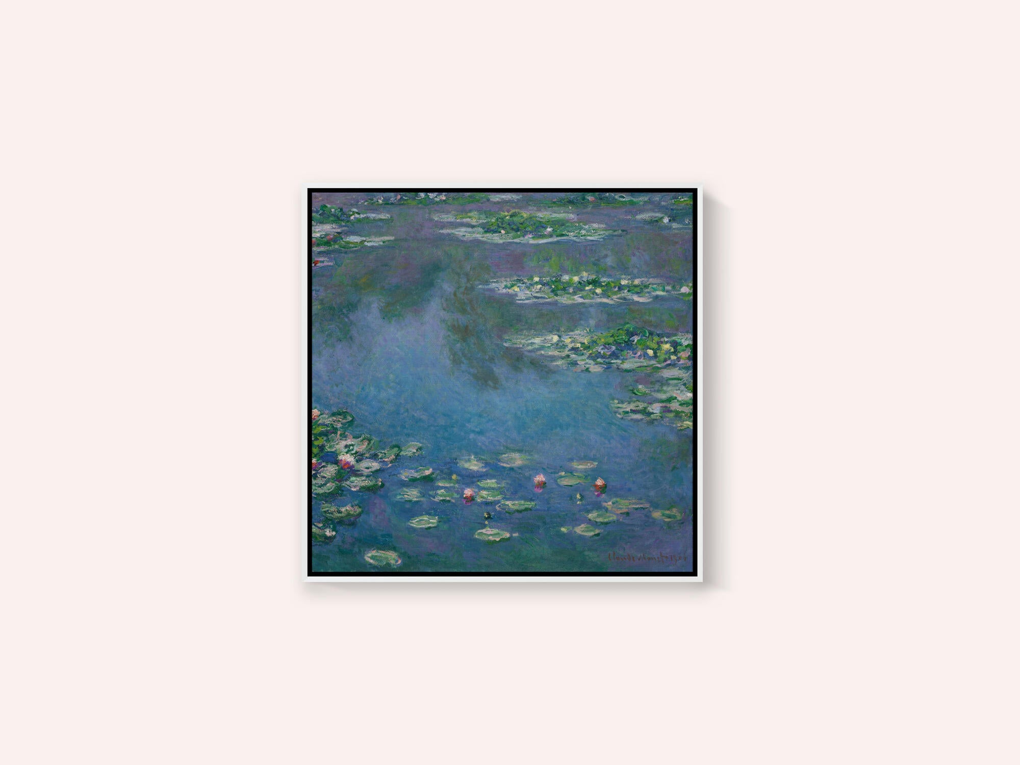 Water Lilies