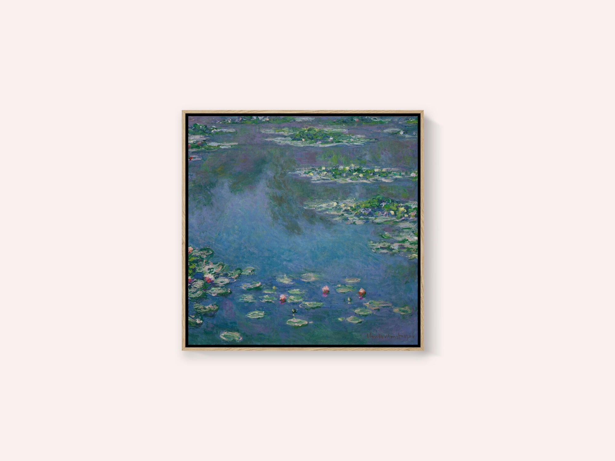 Water Lilies