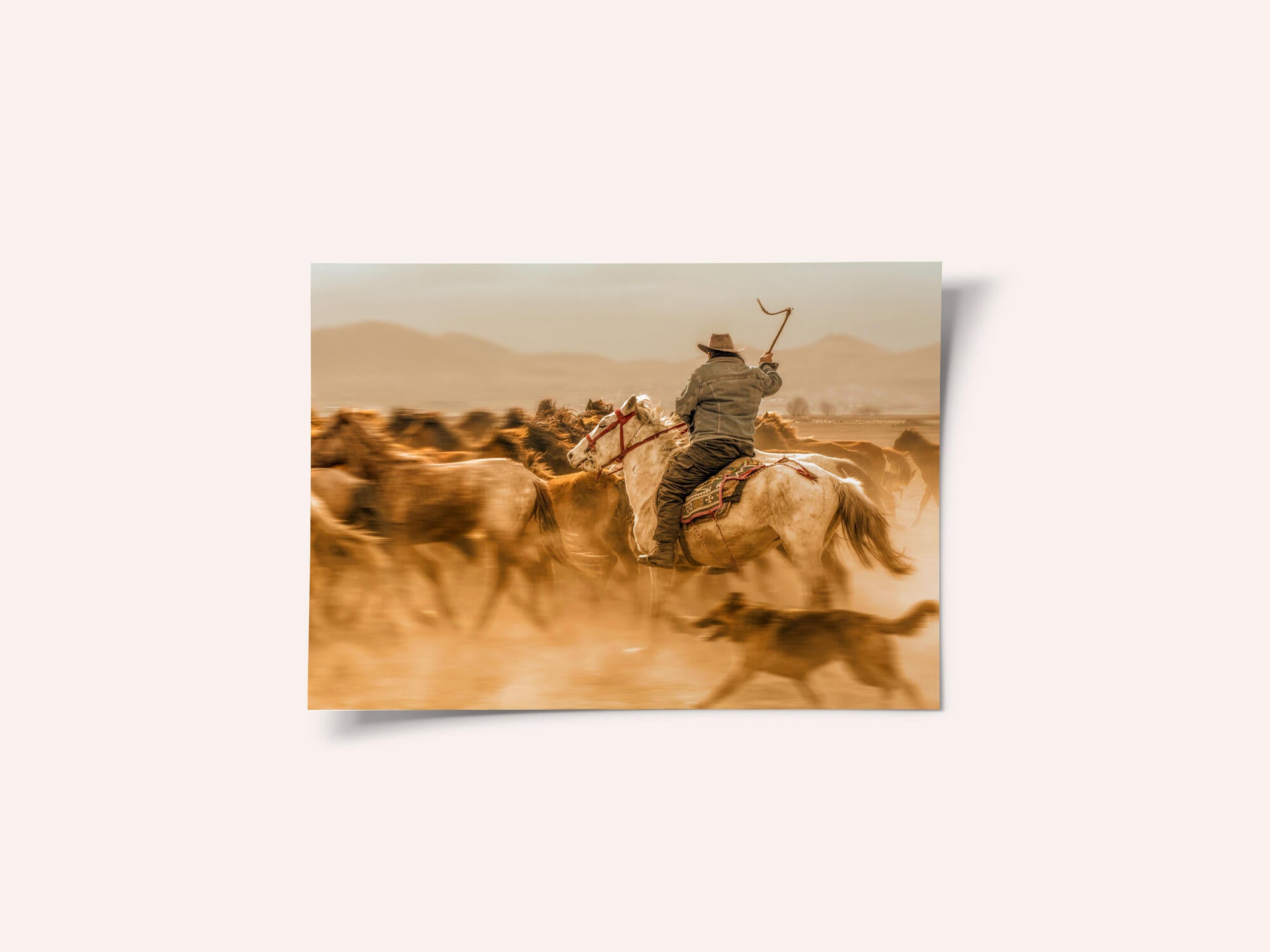 Wild horses (aka Yılkı Atları)