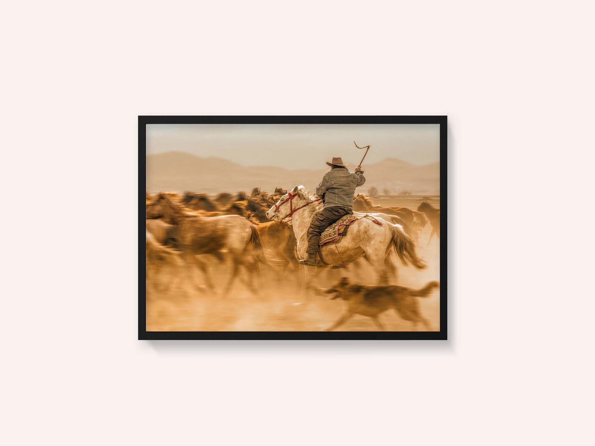 Wild horses (aka Yılkı Atları)