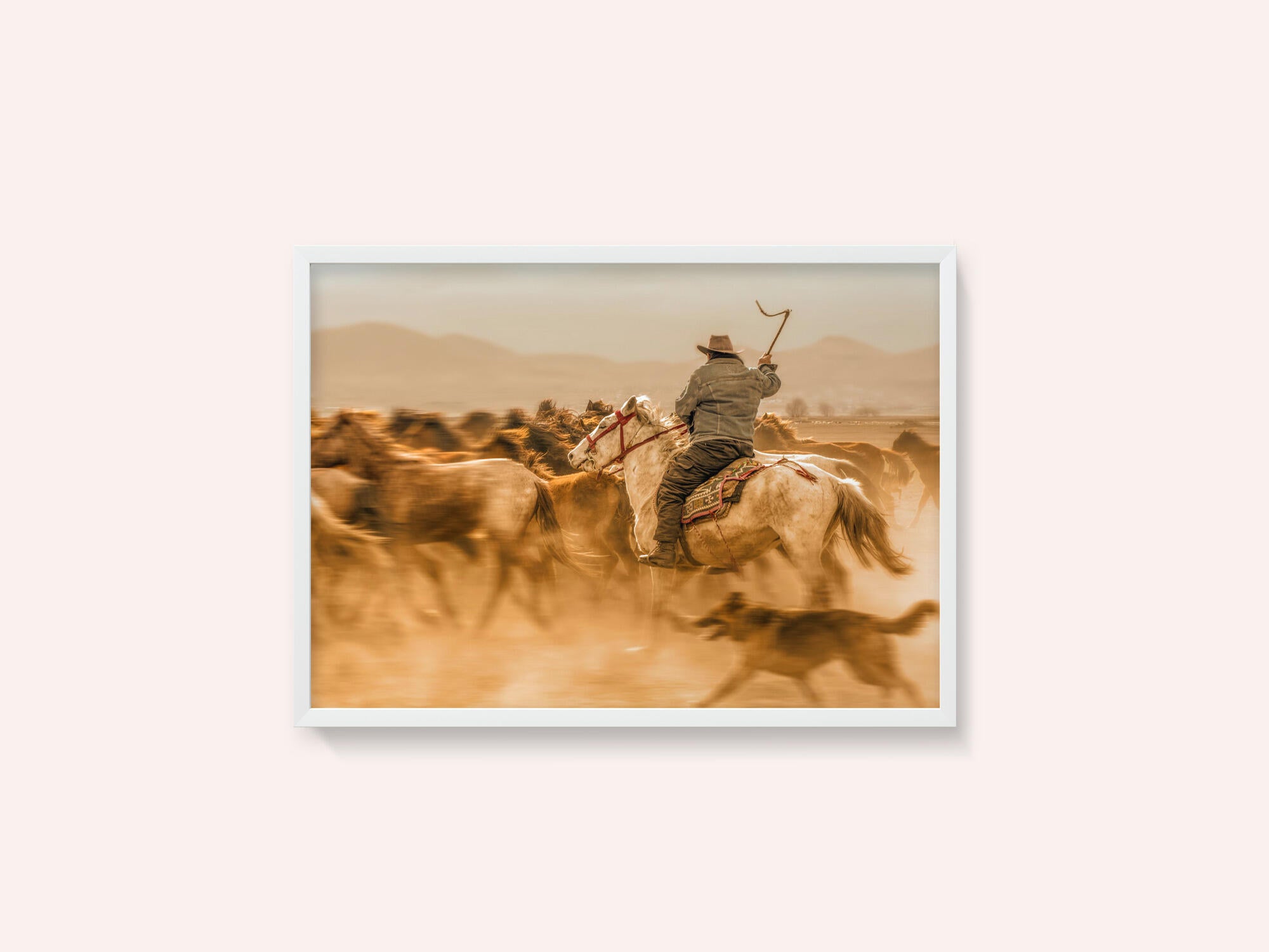 Wild horses (aka Yılkı Atları)