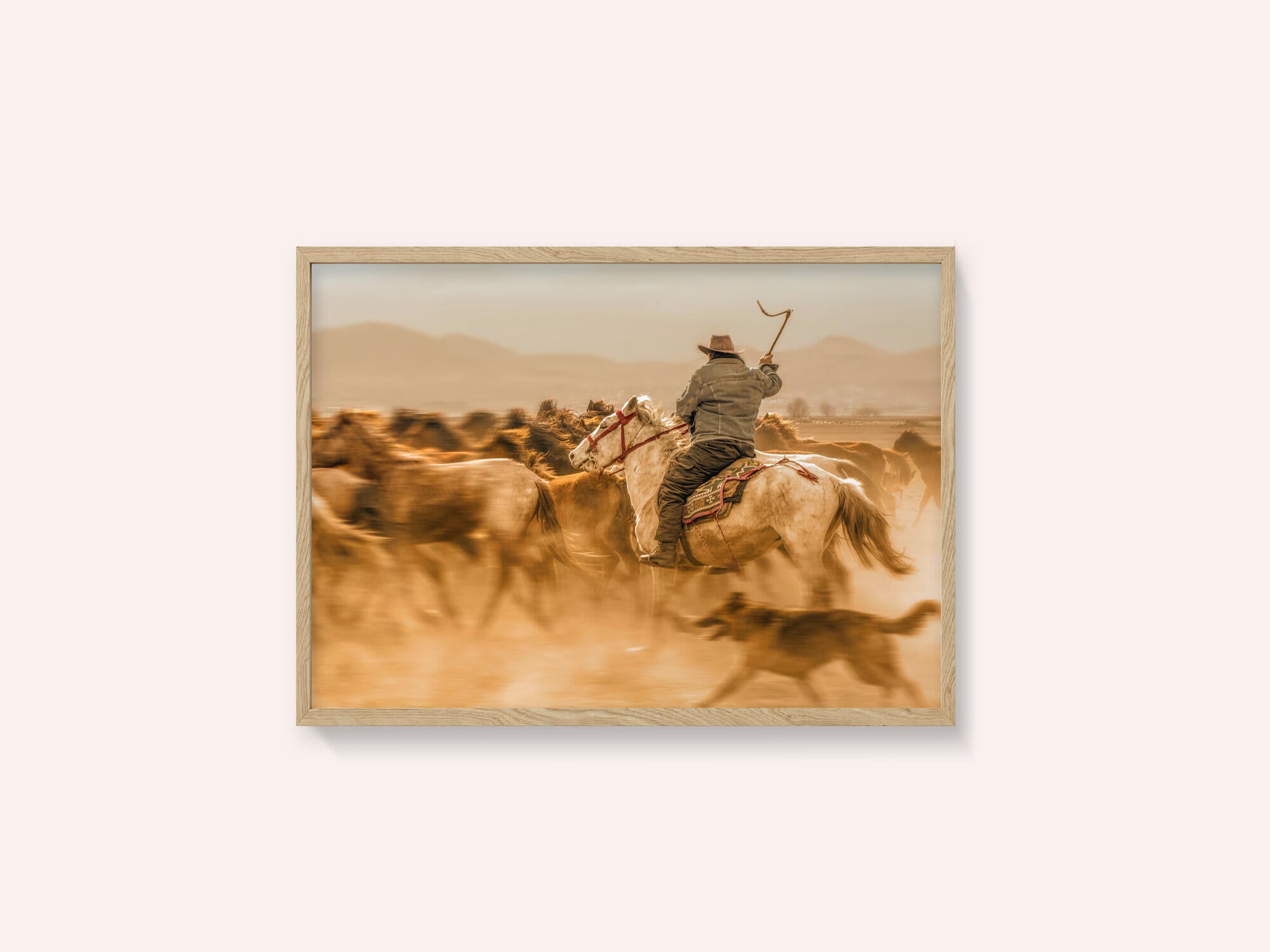 Wild horses (aka Yılkı Atları)
