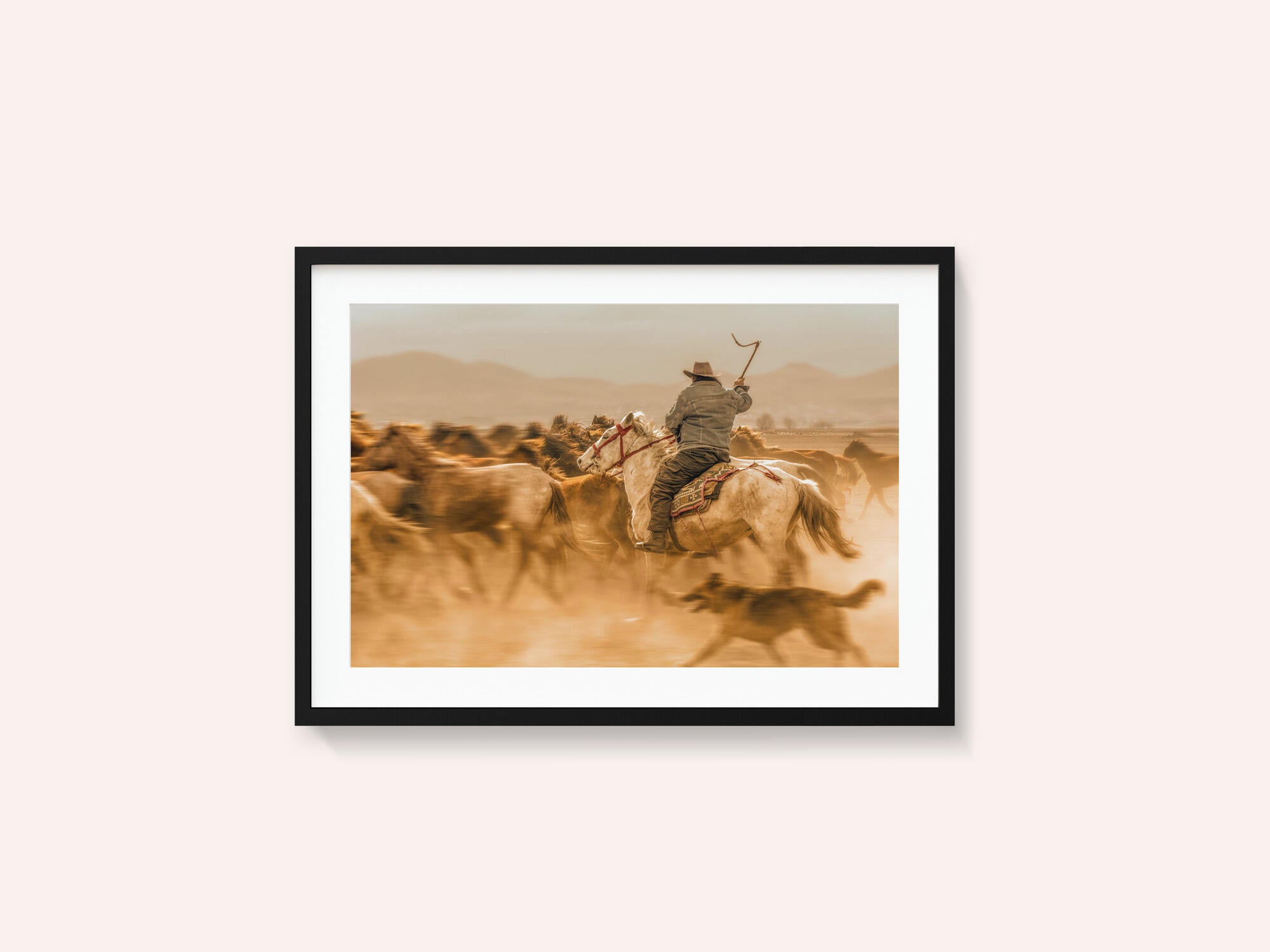 Wild horses (aka Yılkı Atları)